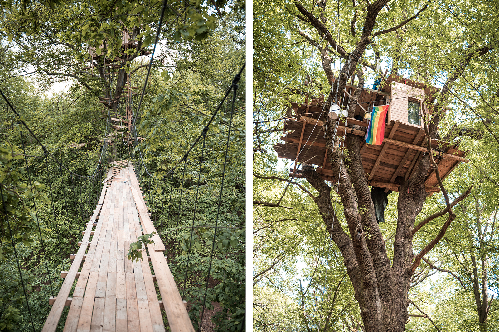 Hambacher Forst Baumhäuser