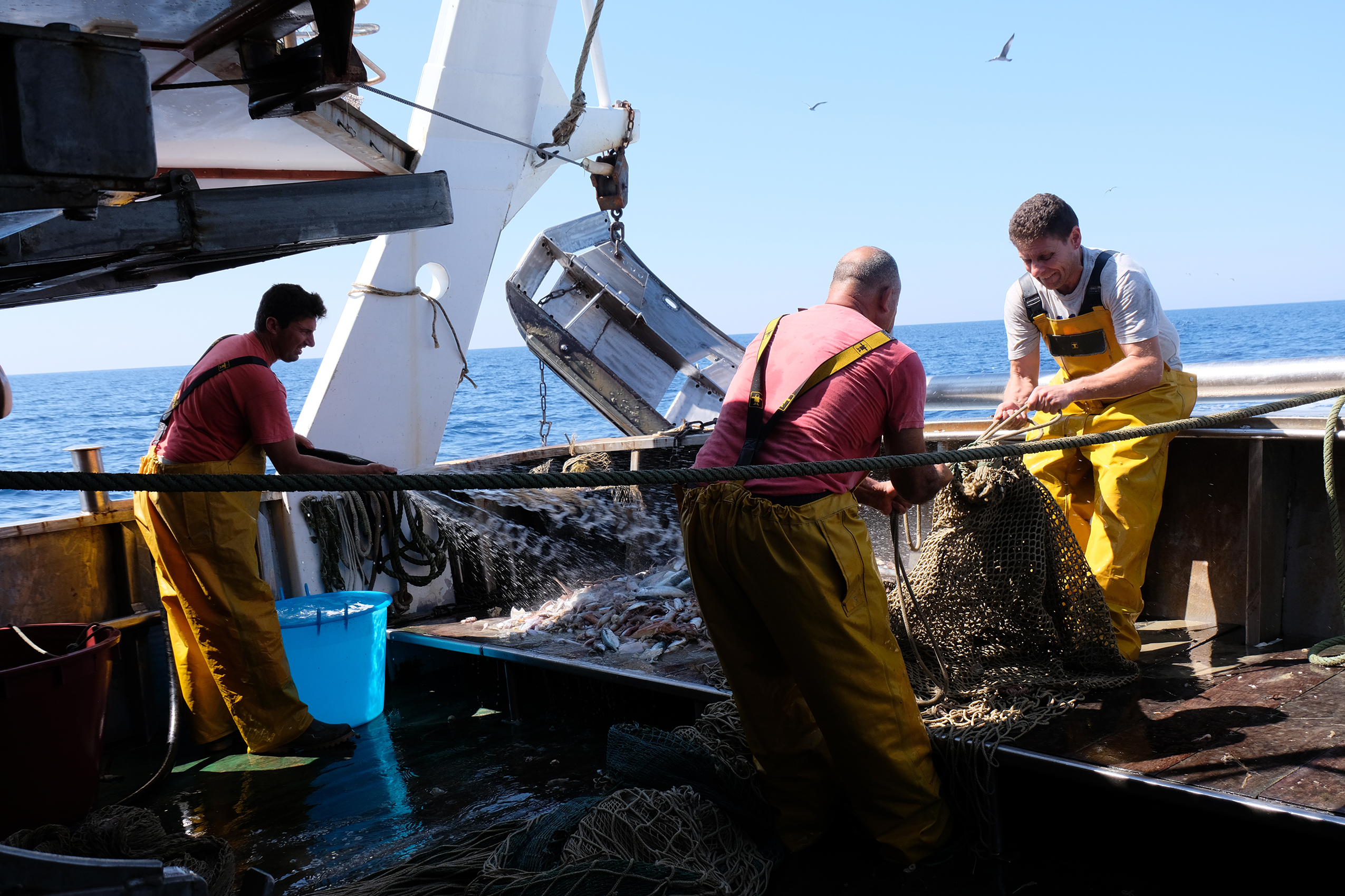 Equipaggio-al-lavoro