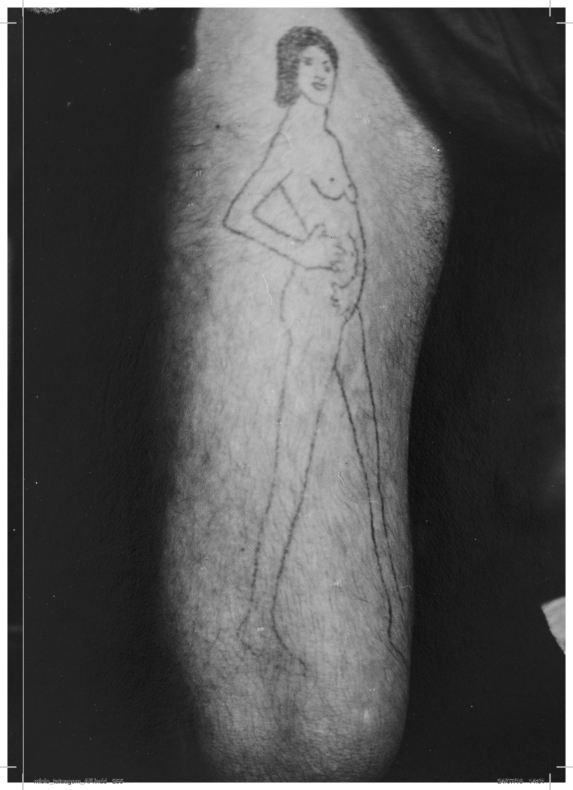1568140785068-miolo_tatuagem_AF_highress-final-casa-rex-255