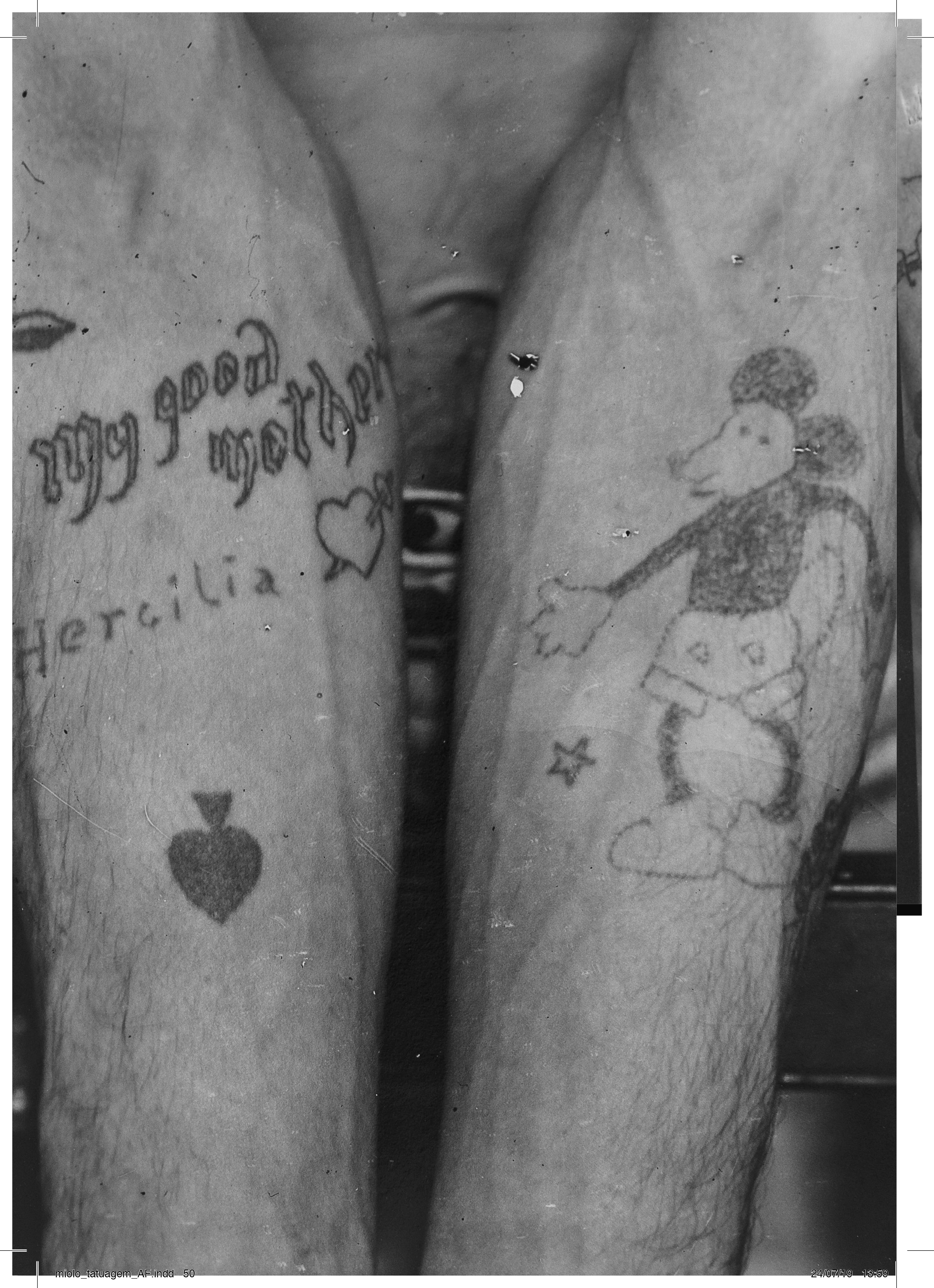 1568141128018-miolo_tatuagem_AF_highress-final-casa-rex-50
