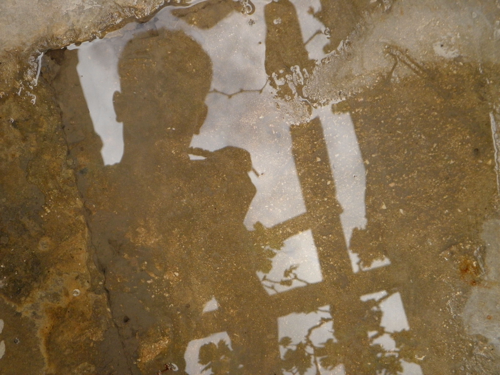 1568642033979-selfportrait-2