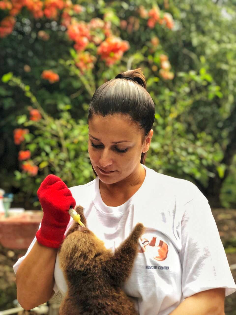 Animal Rescue Costa Rica co-owner Vanessa Lizano feeding a sloth