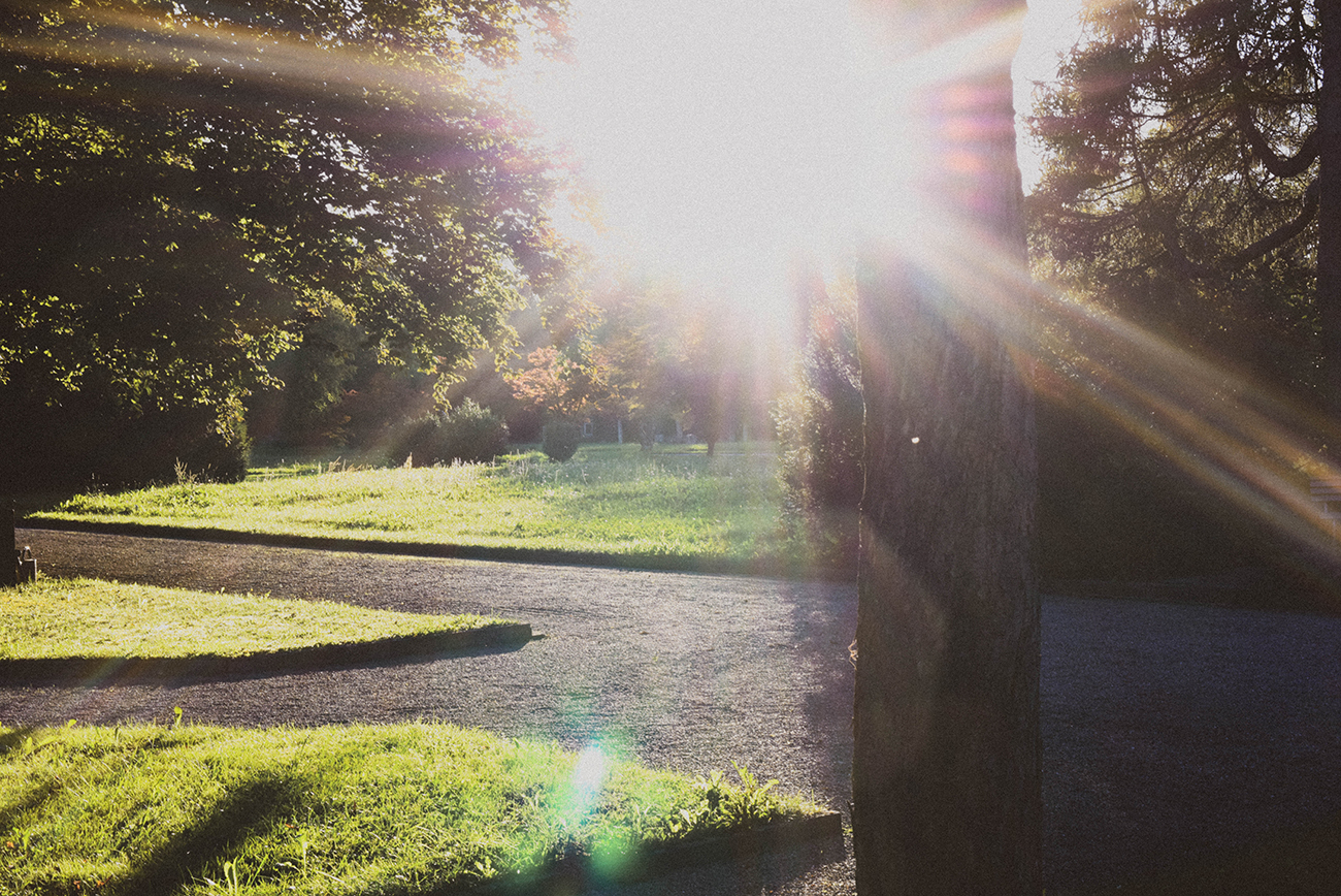Beerdigung in Zürich Friedhof Sihlfeld