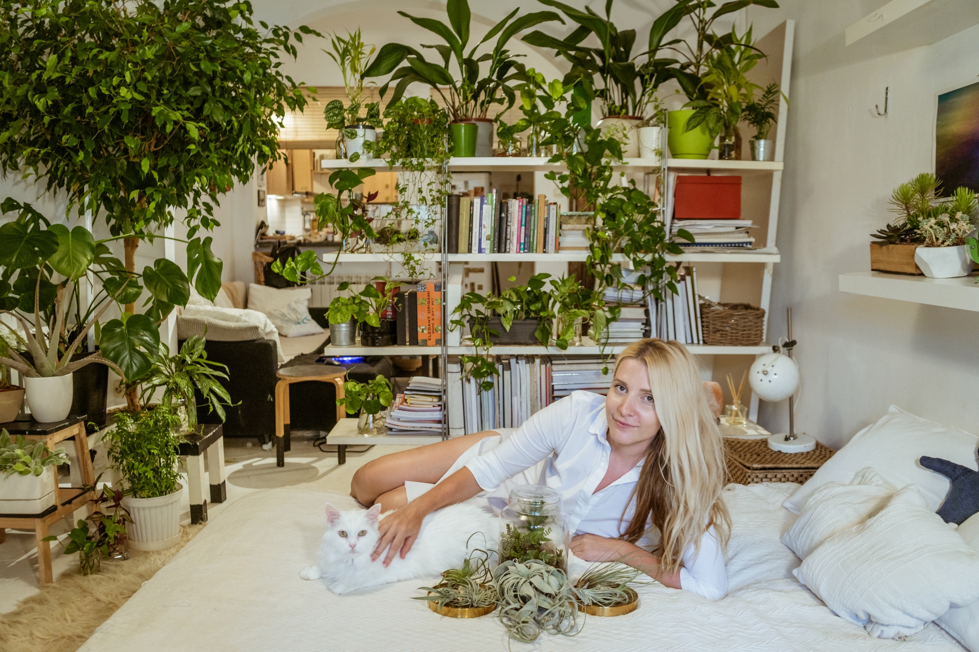 plante