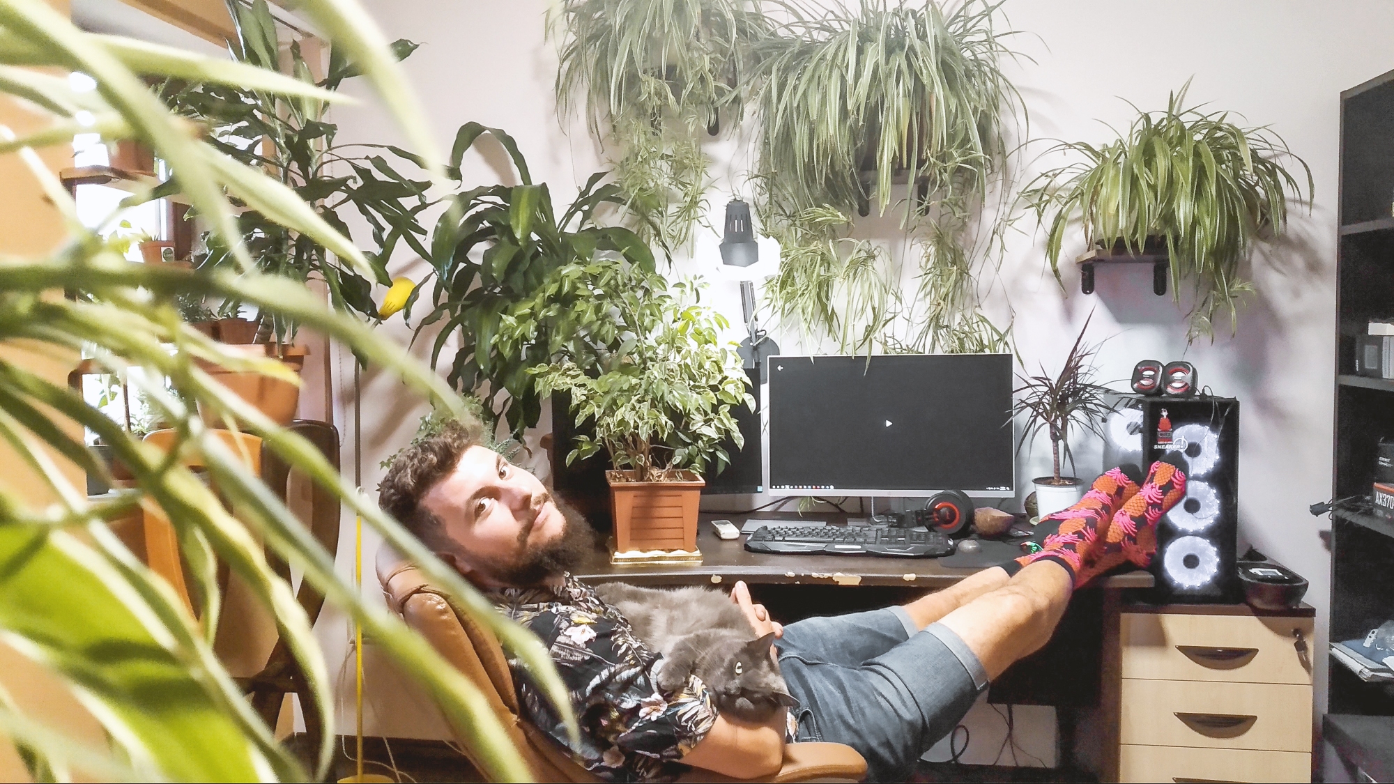 plante