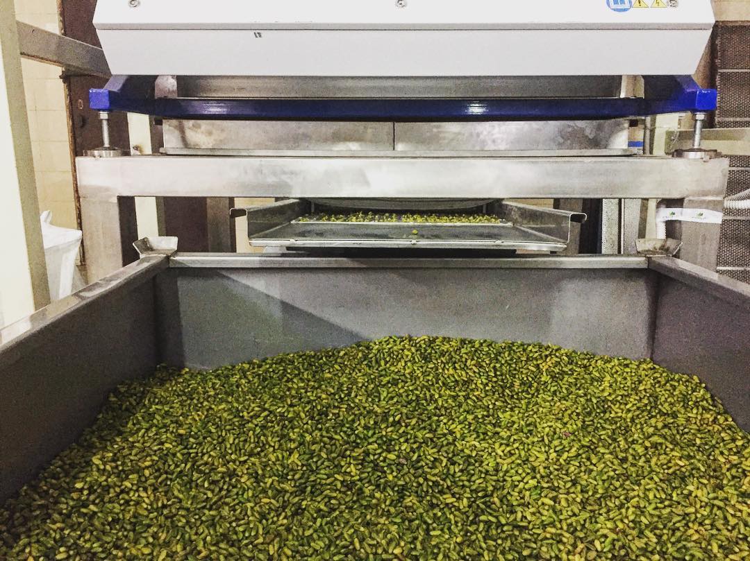 Pistacchio di Bronte DOP
