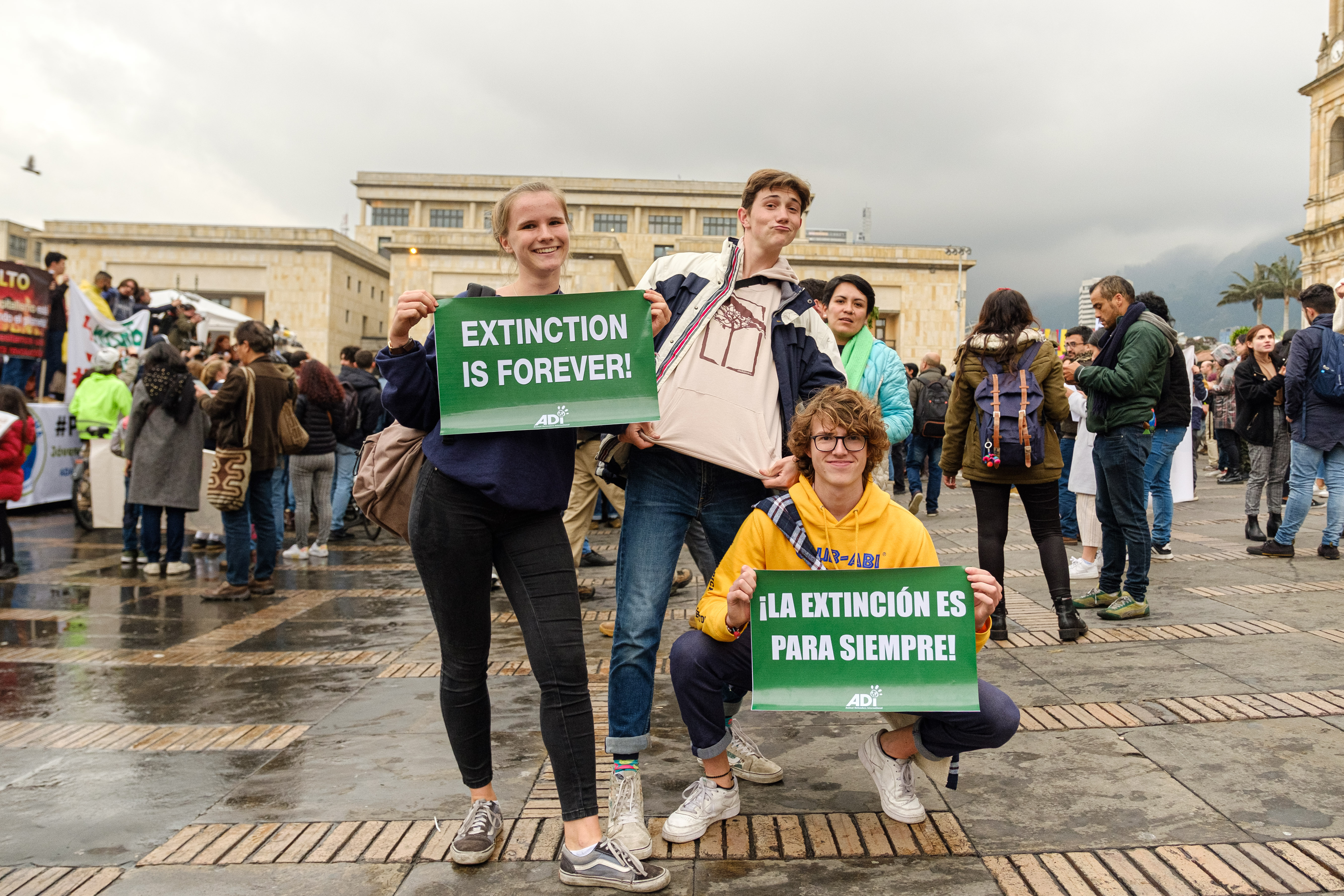 1569182520530-ClimateStrikeBGTA_MateoRueda-3