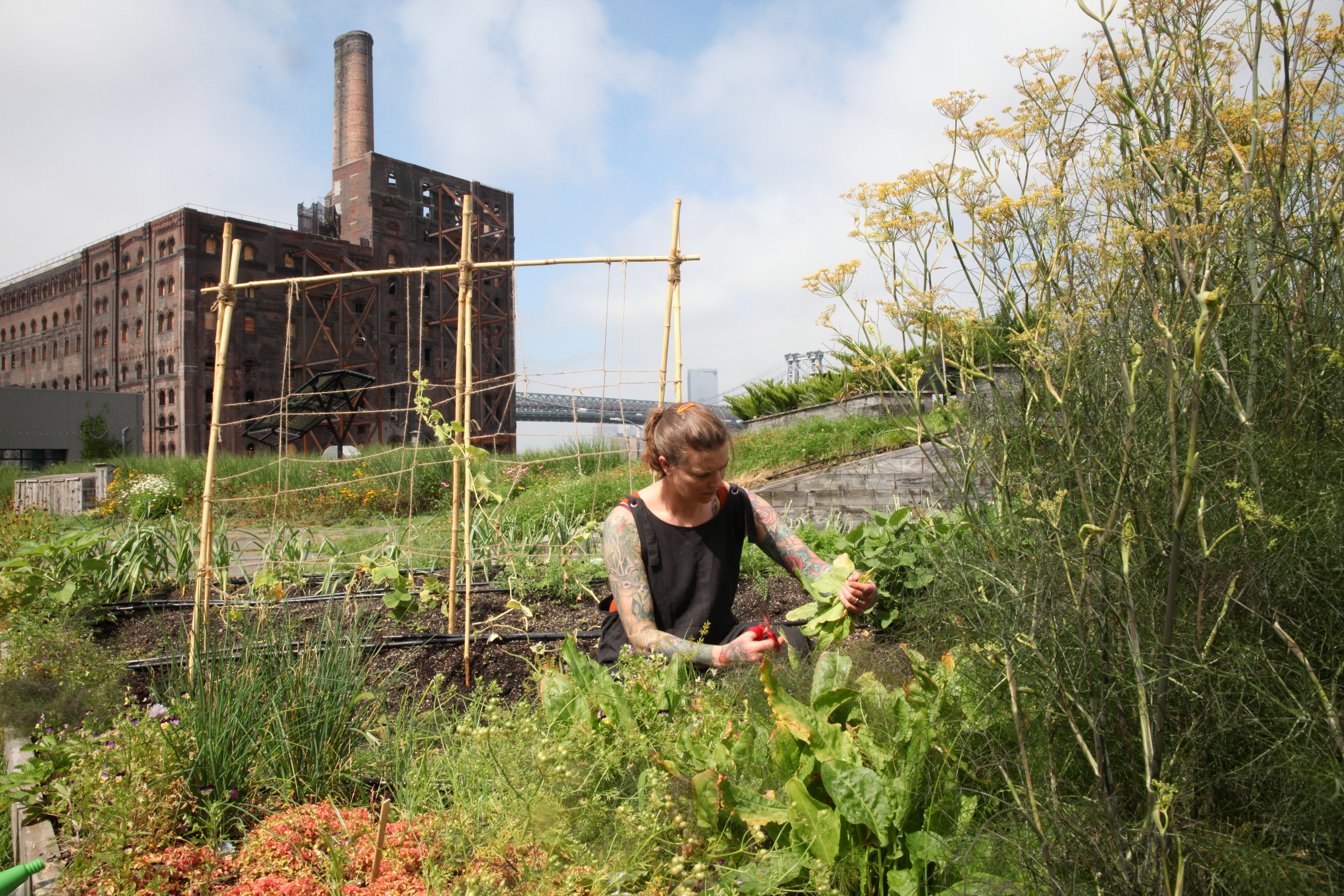 1569247298212-IMG_3317-chef-iliana-regan-elizabeth-milkweed-inn-munchies-garden-v2