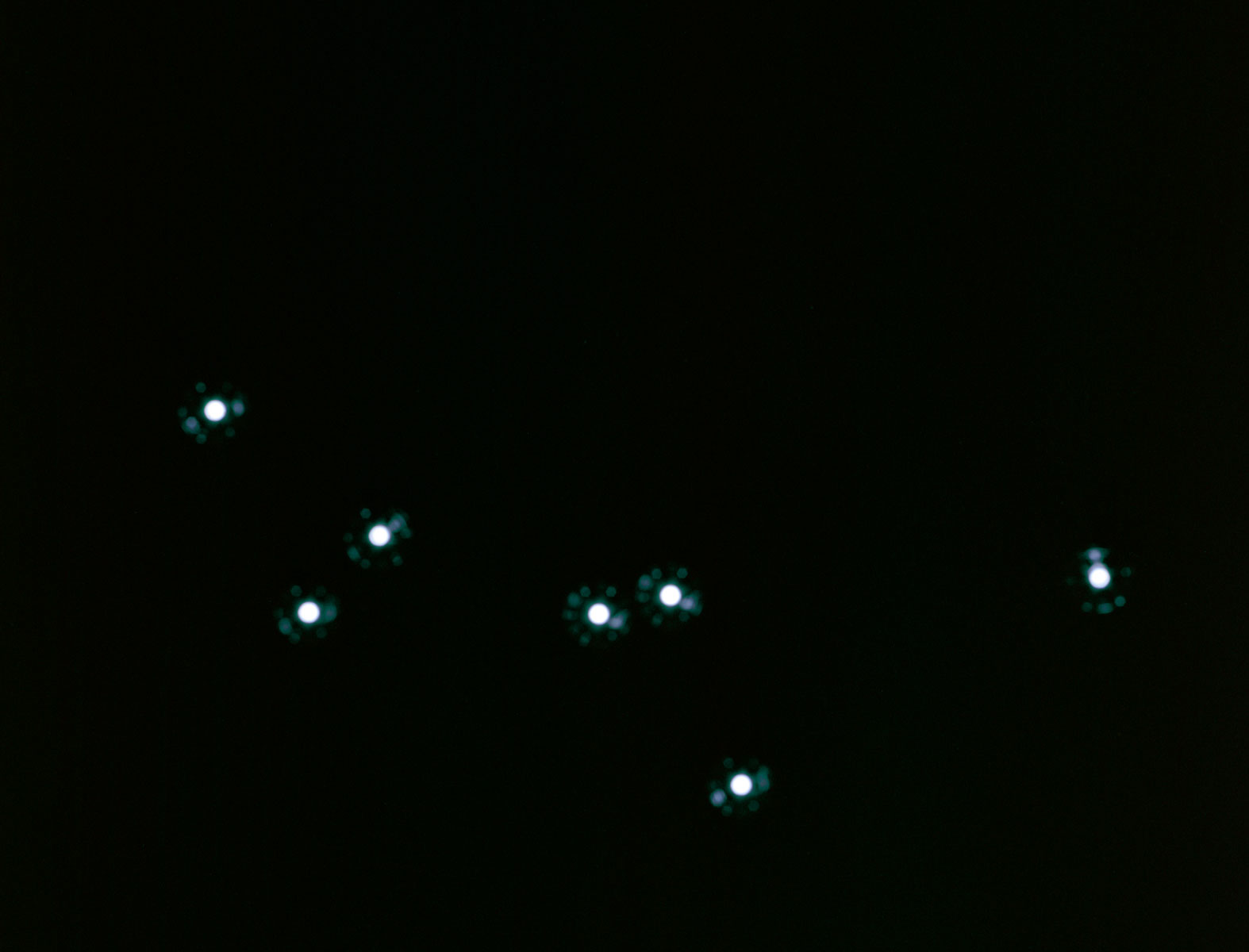 1569855918183-MannelliAlessandro_7