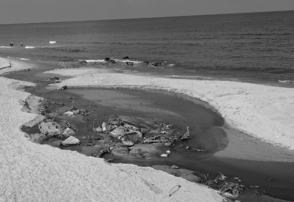 Gaza valley estuary 