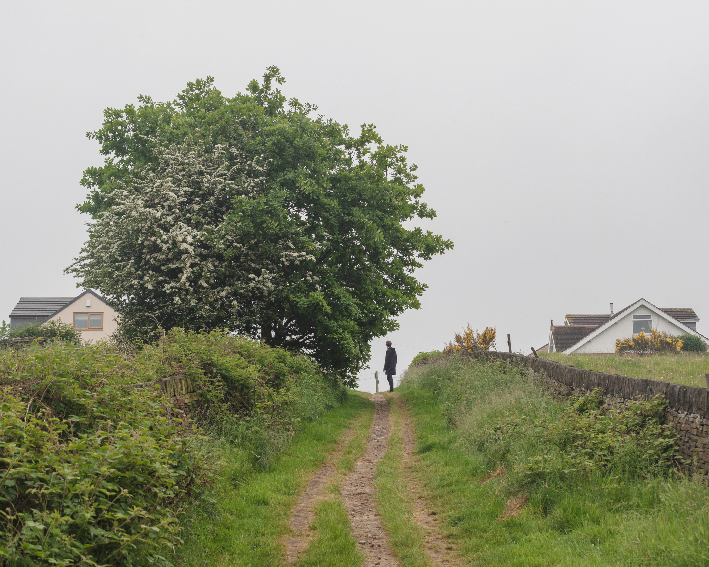 denby dale