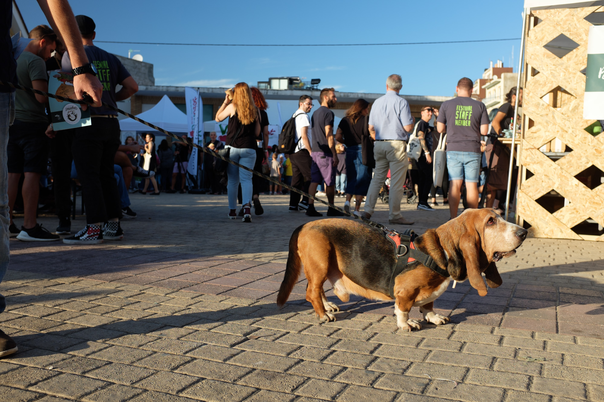 vegan life festival