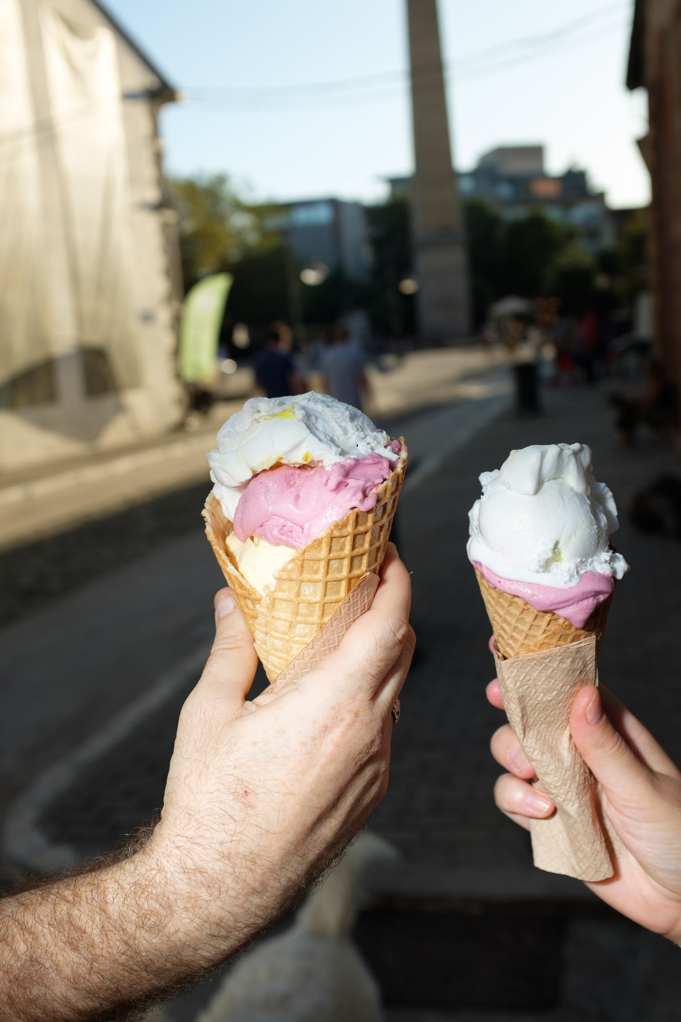 vegan ice cream vegan life festival