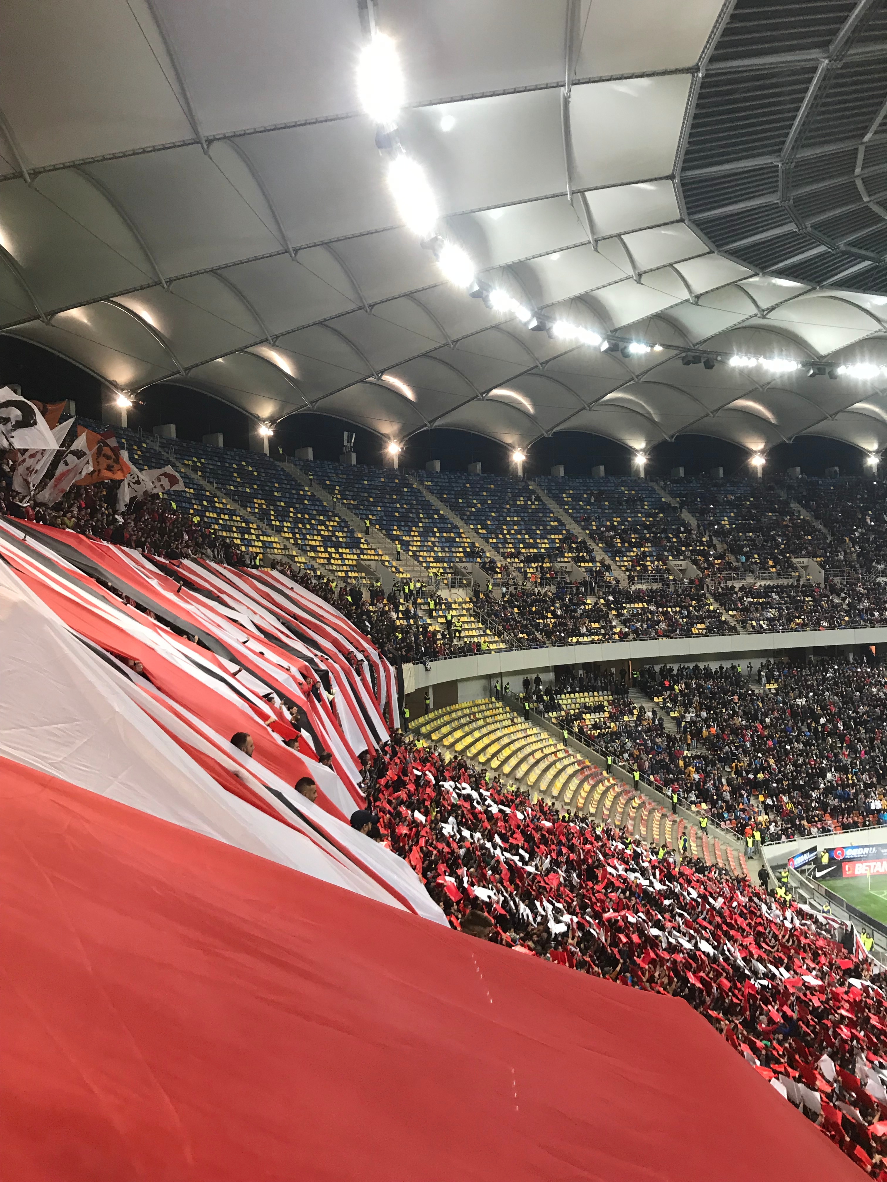 dinamo
