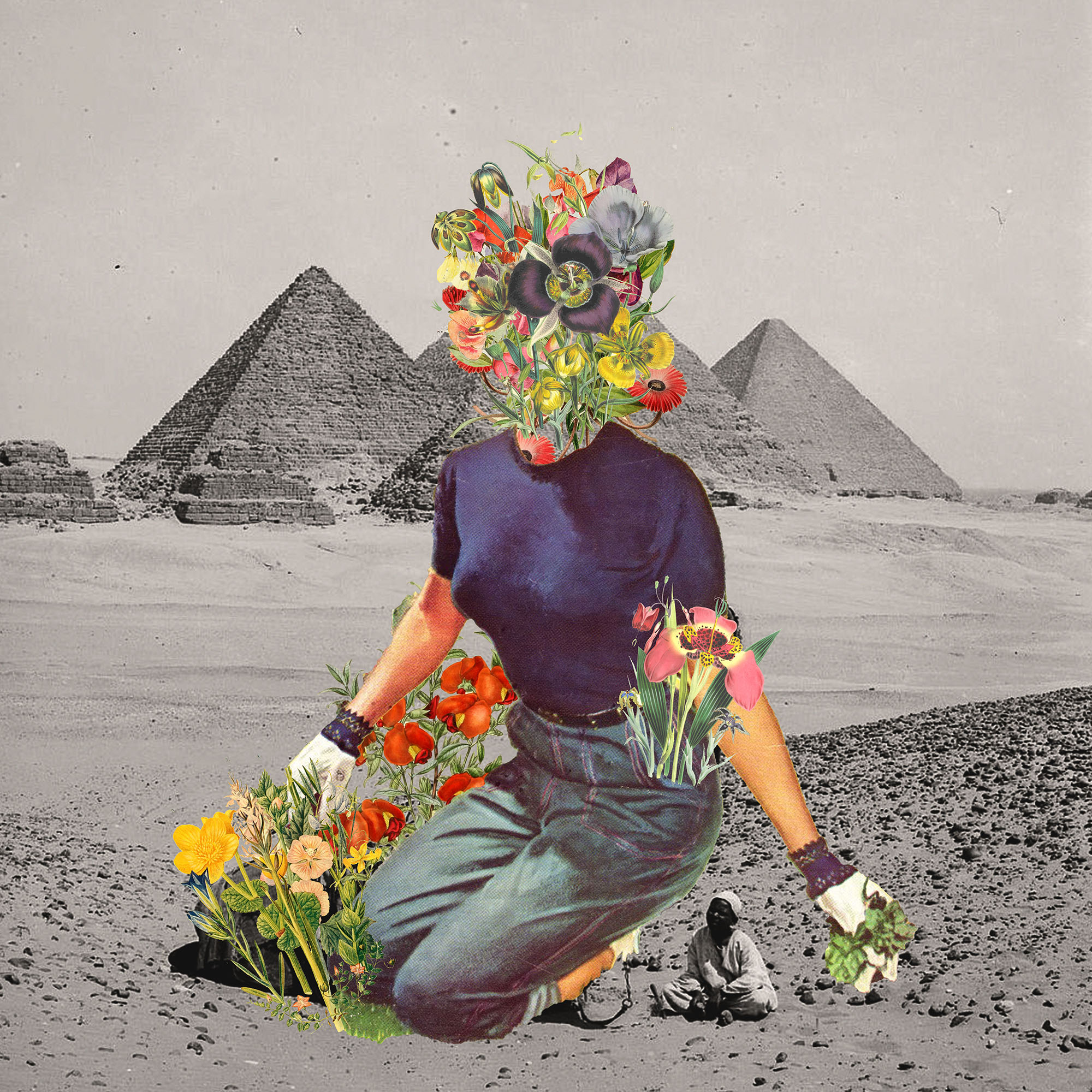 1570534810163-Reclaiming-Roots