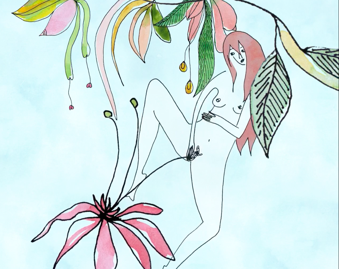 animatie