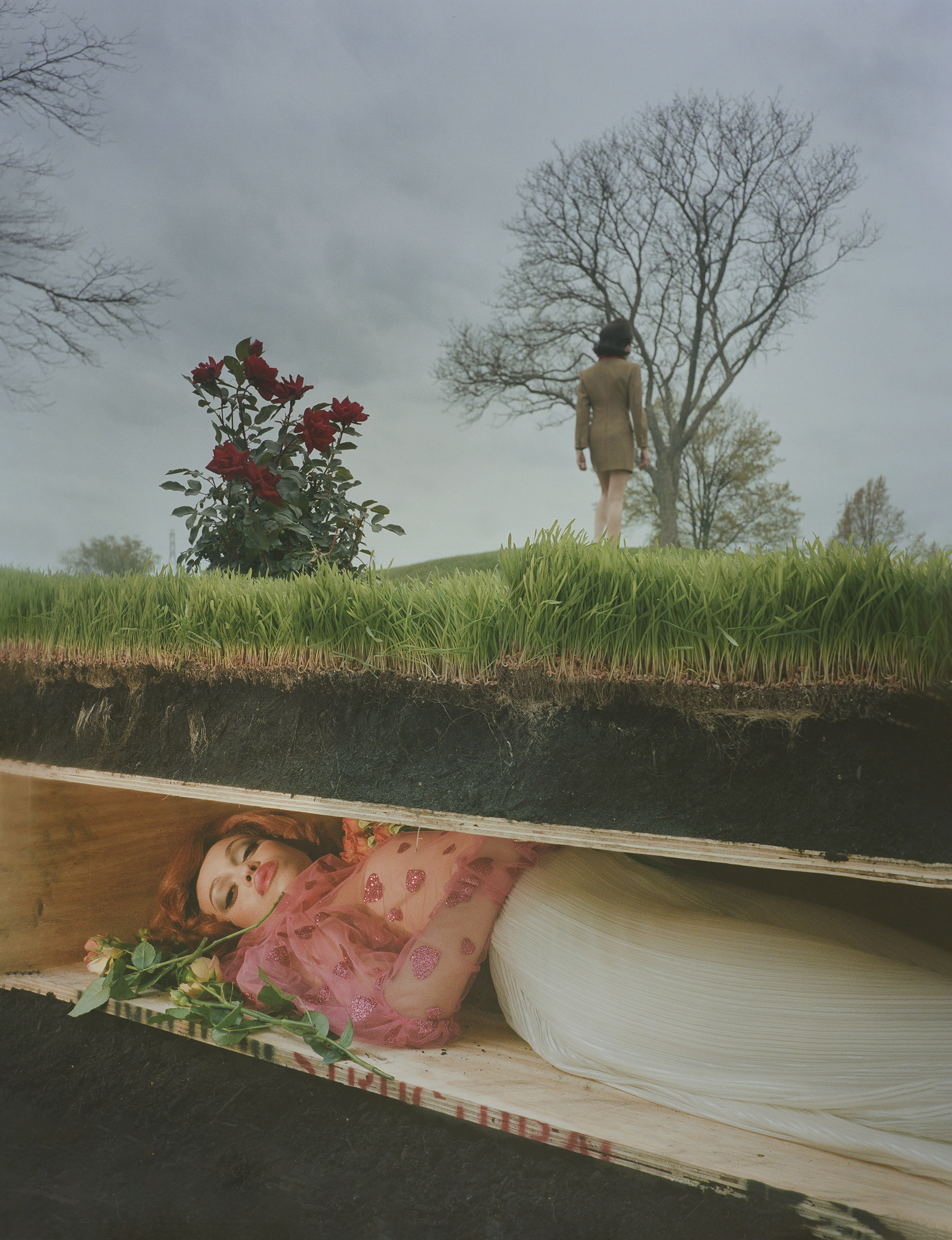 Petra Collins Kate Young
