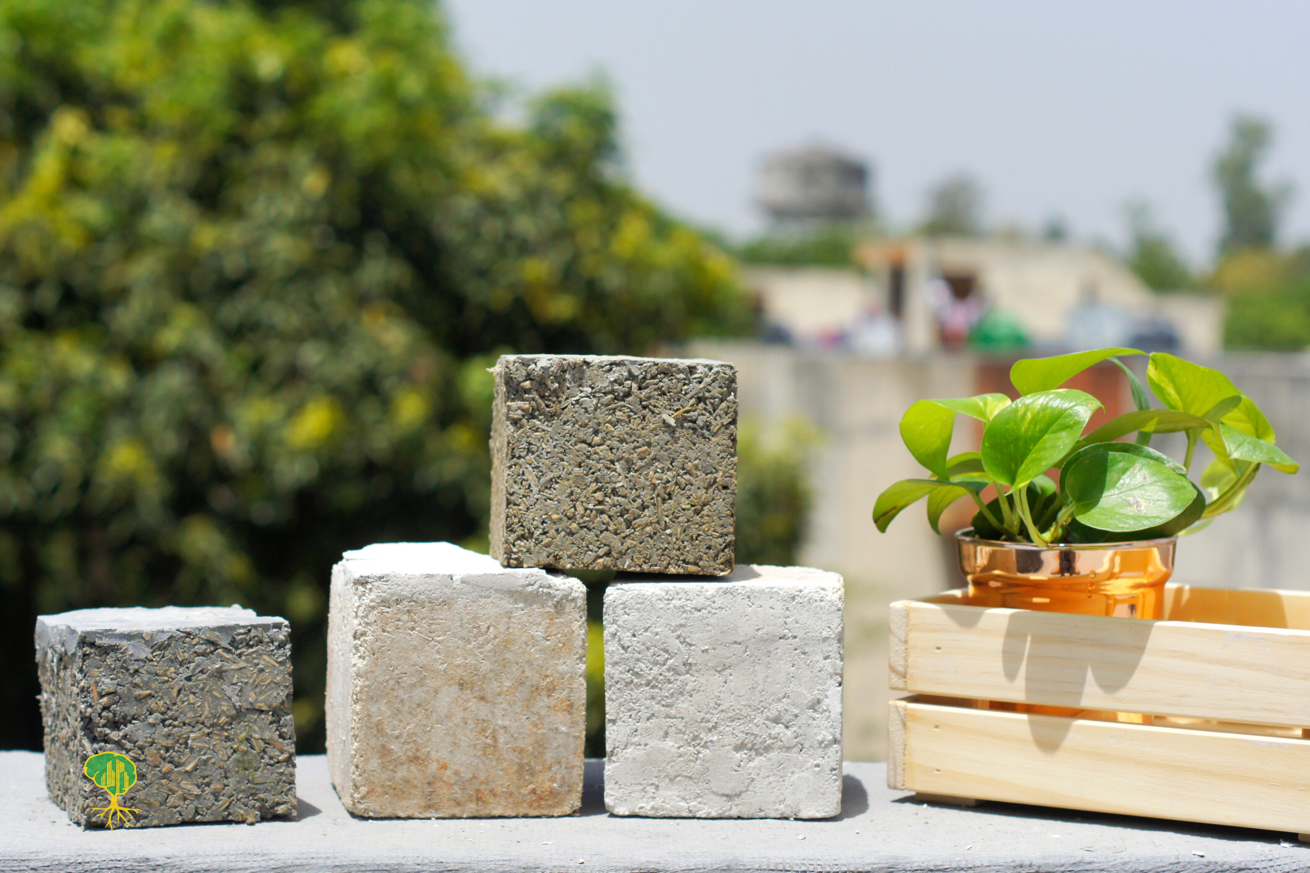 hemp bricks