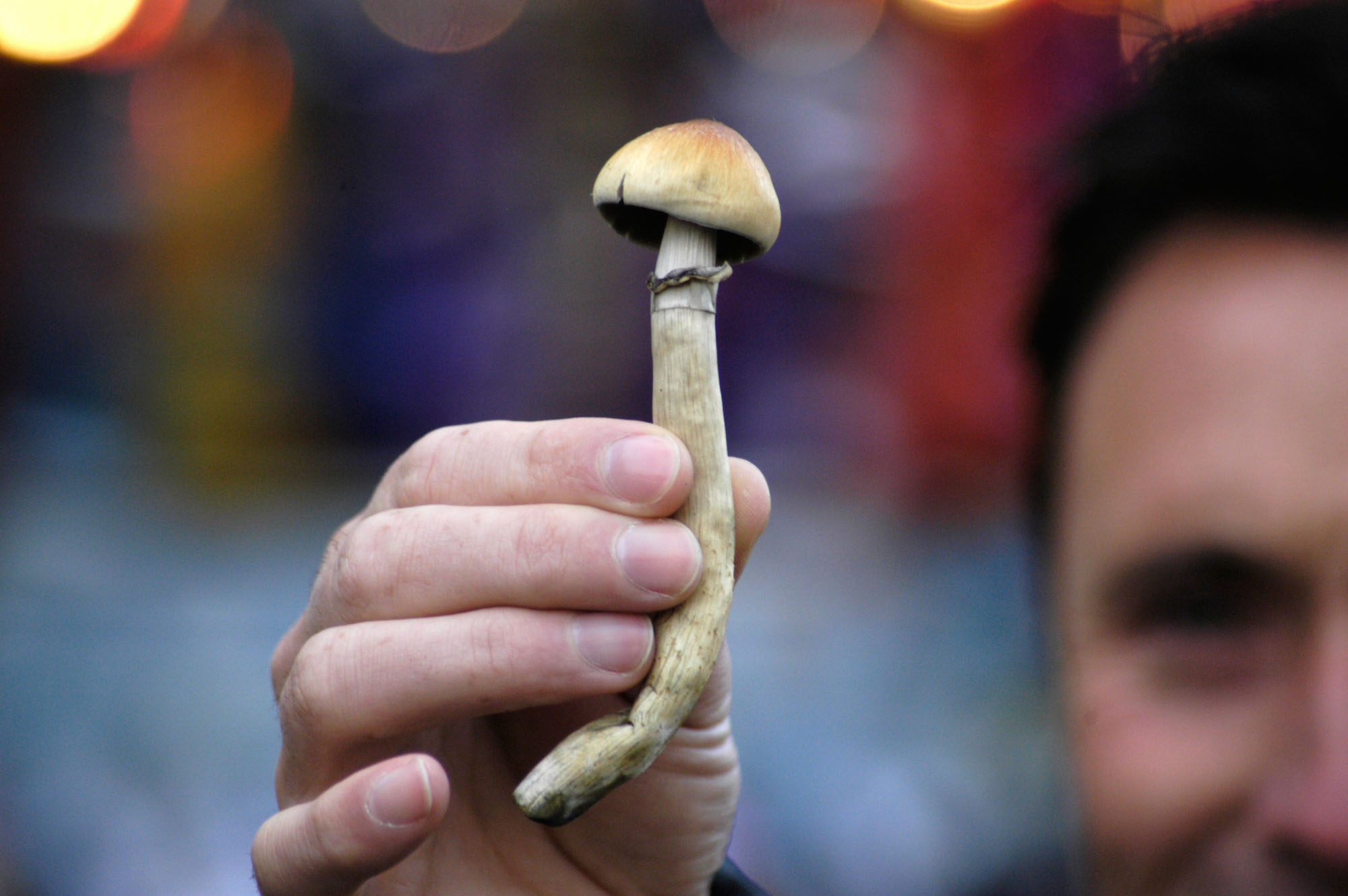 sb magic mushroom