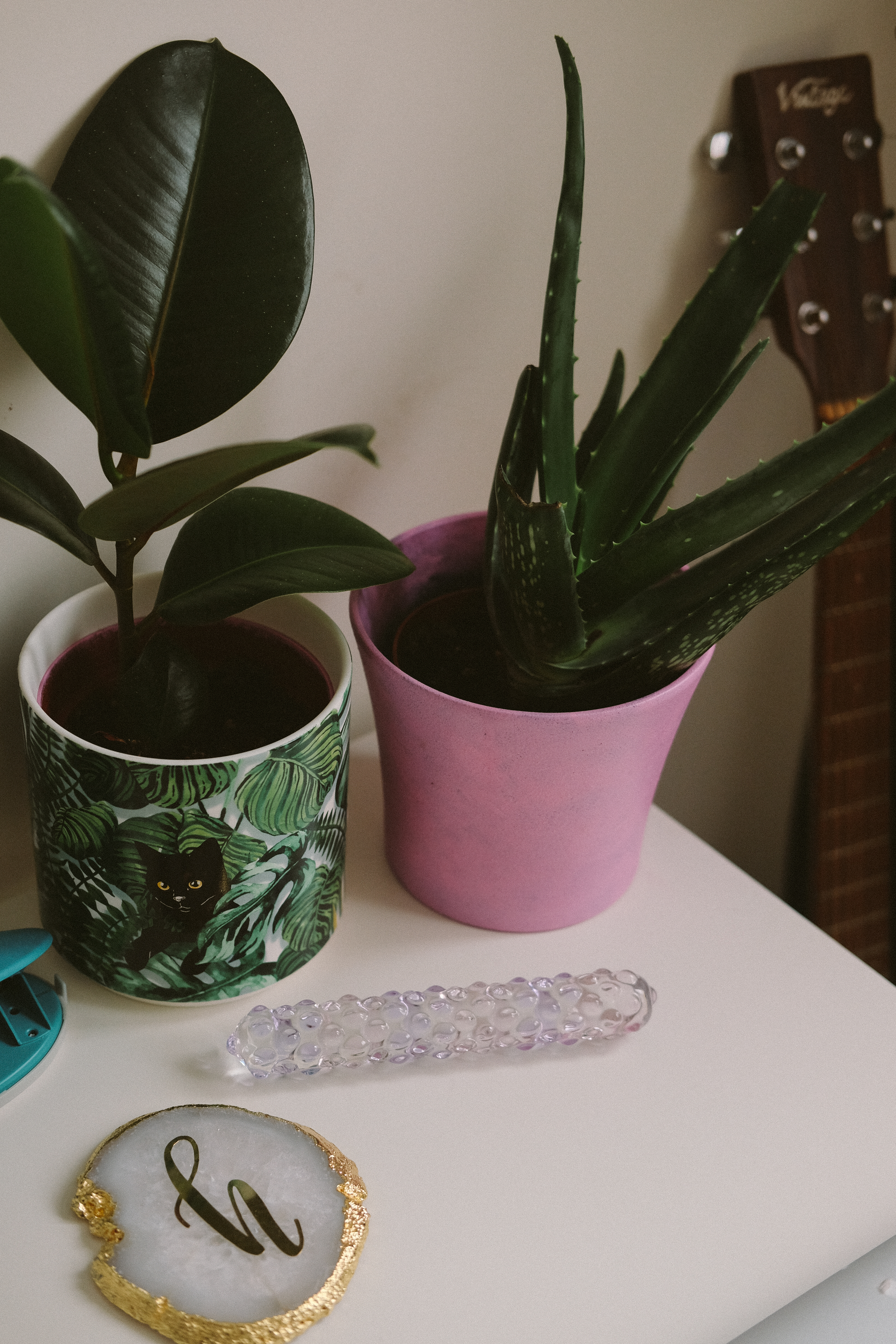 Photograph of Glass Dildo by Sophie Davidson