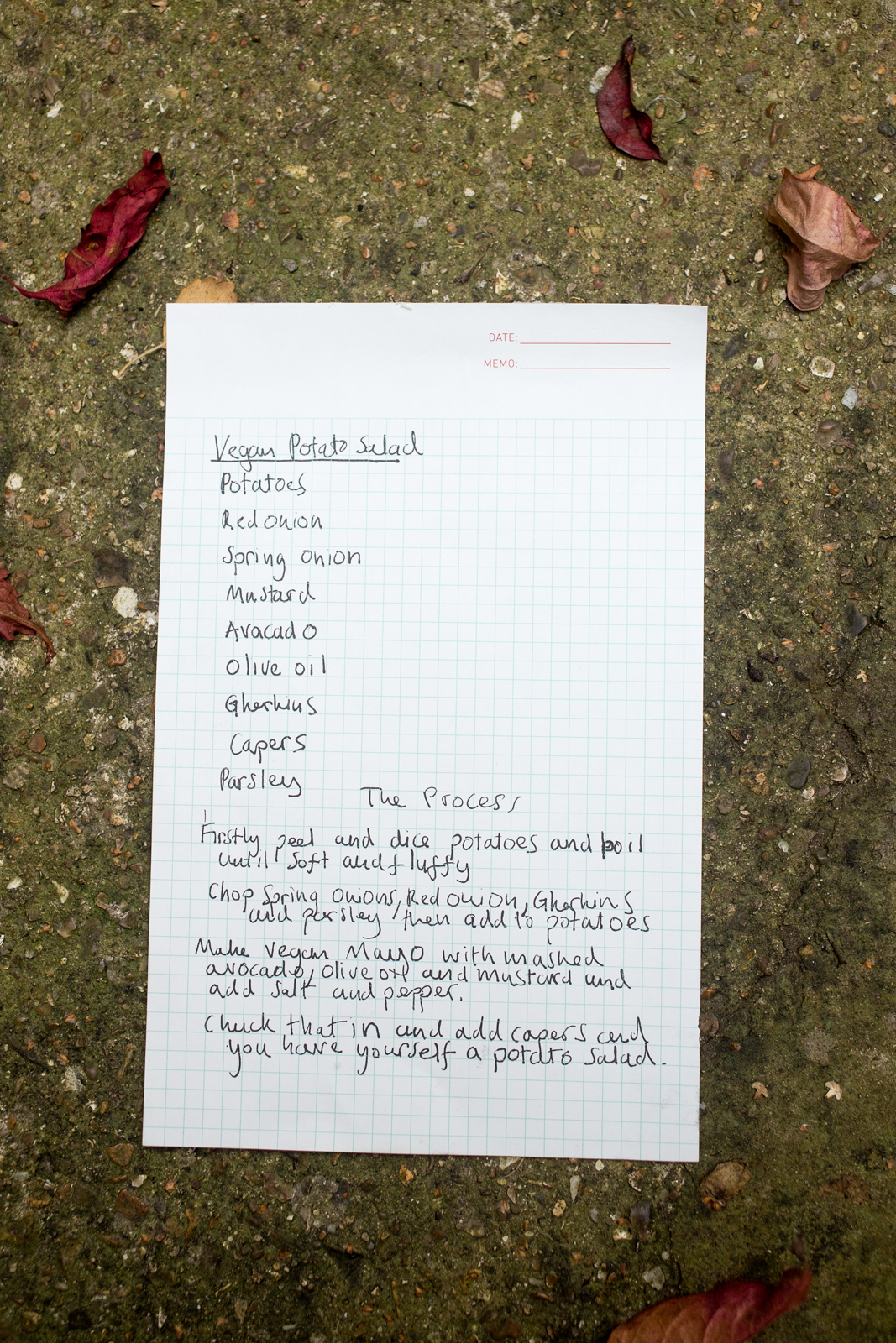 Extinction Rebellion vegan potato salad recipe