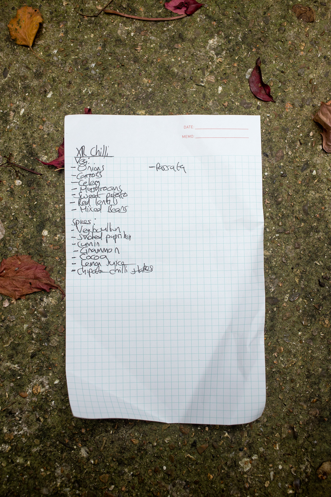 Extinction Rebellion vegan chilli recipe