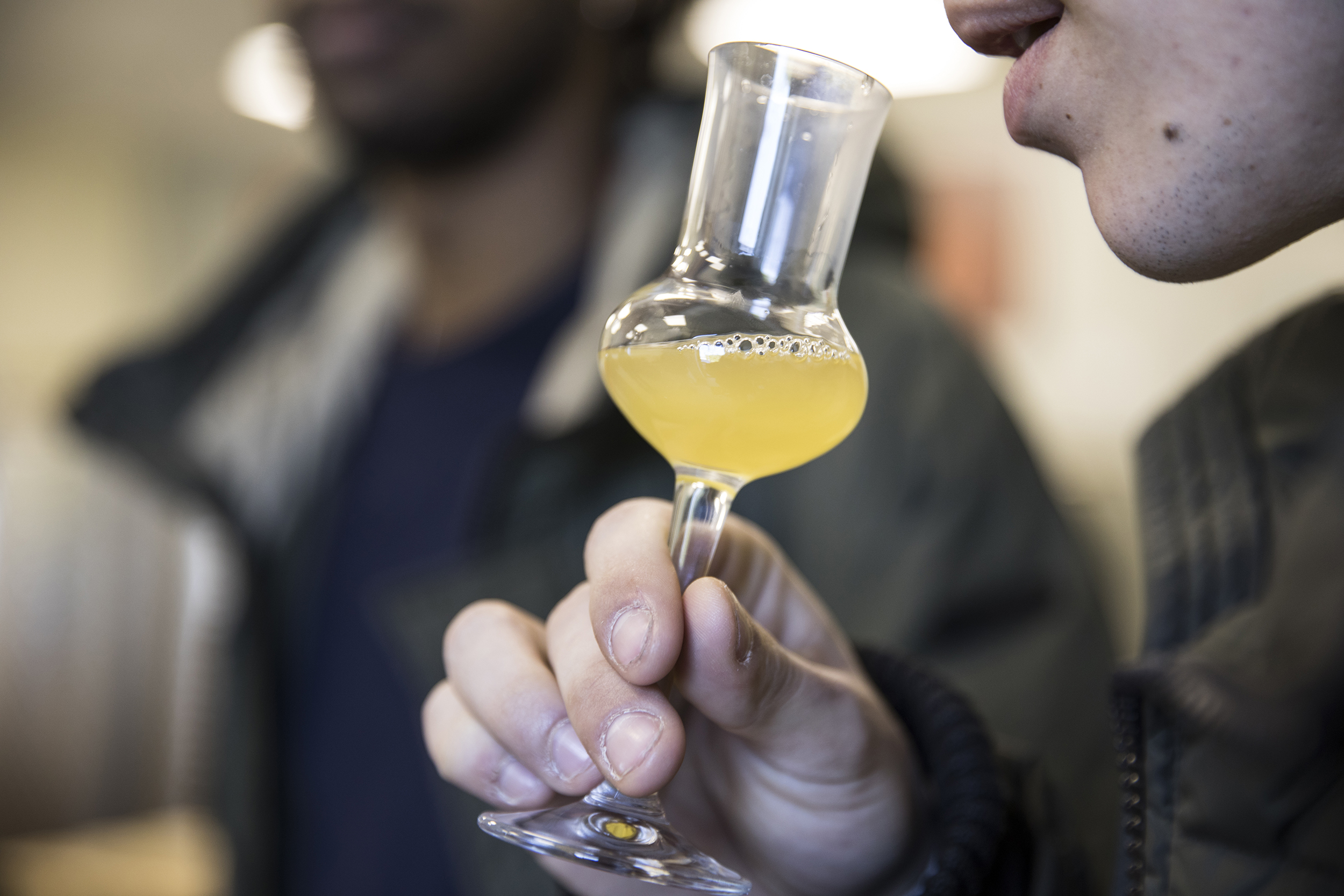 Hempatico-vermouth-canapa