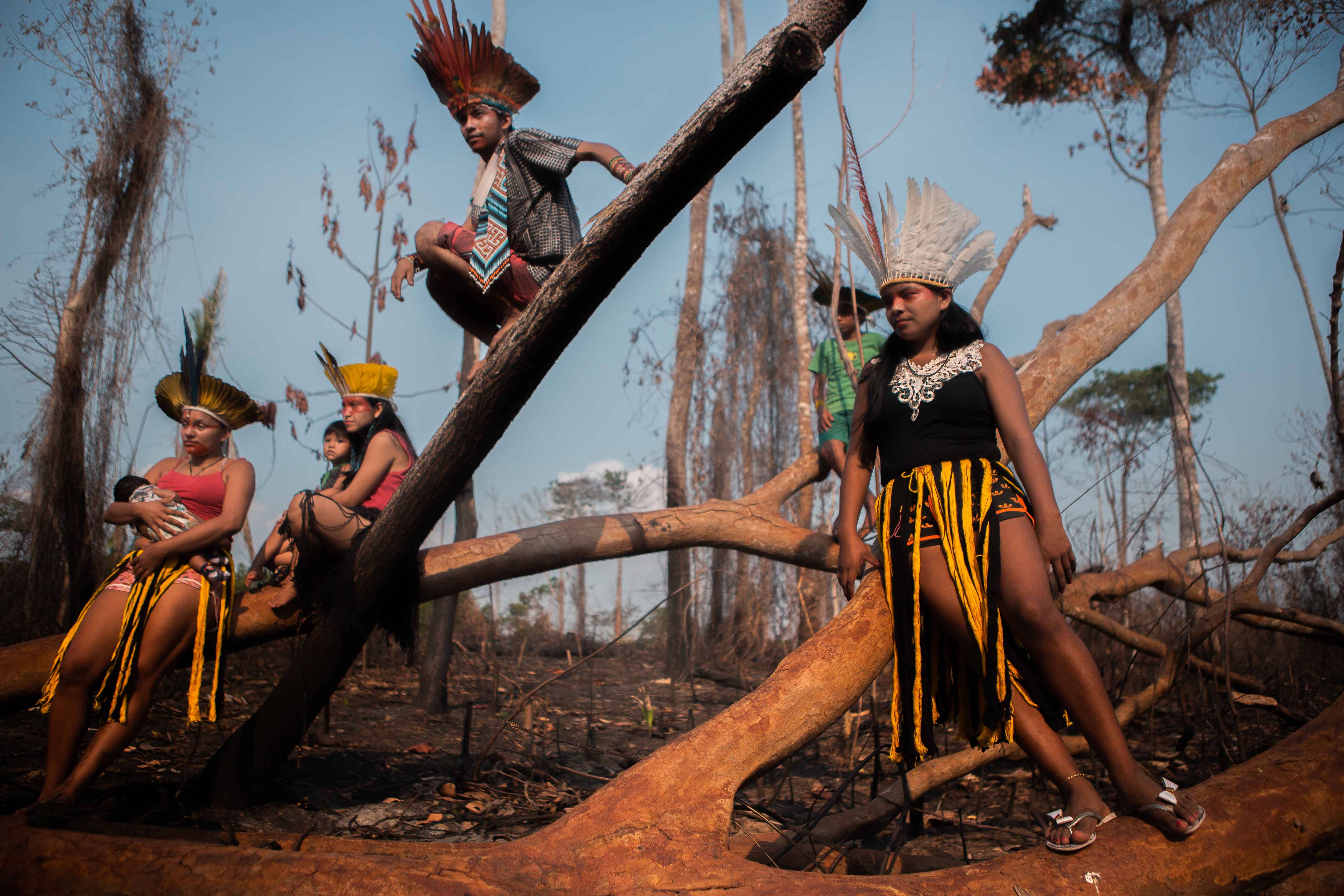 Indigenous women and children among fallen trees