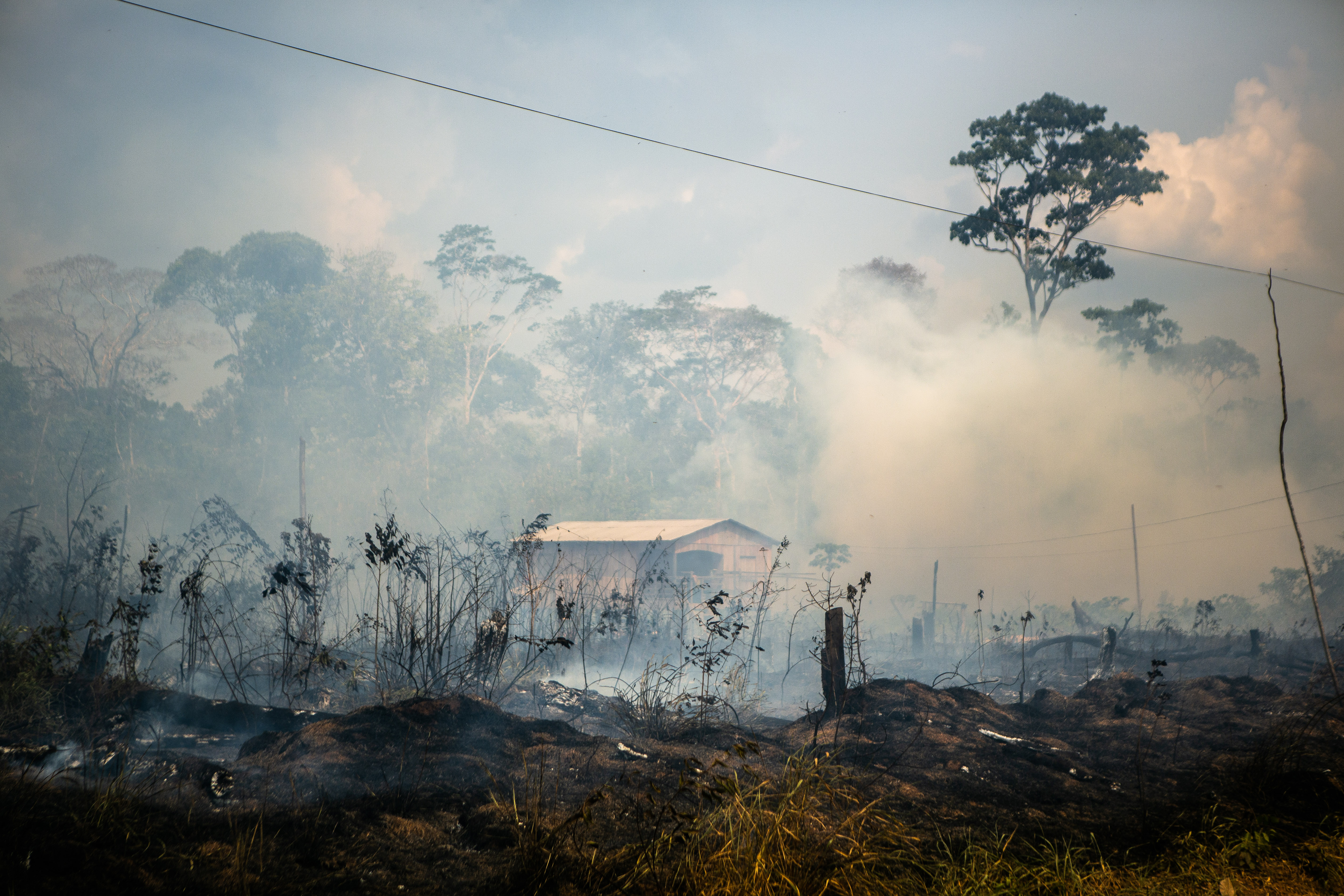 Areas of the Amazon devastated by the fires