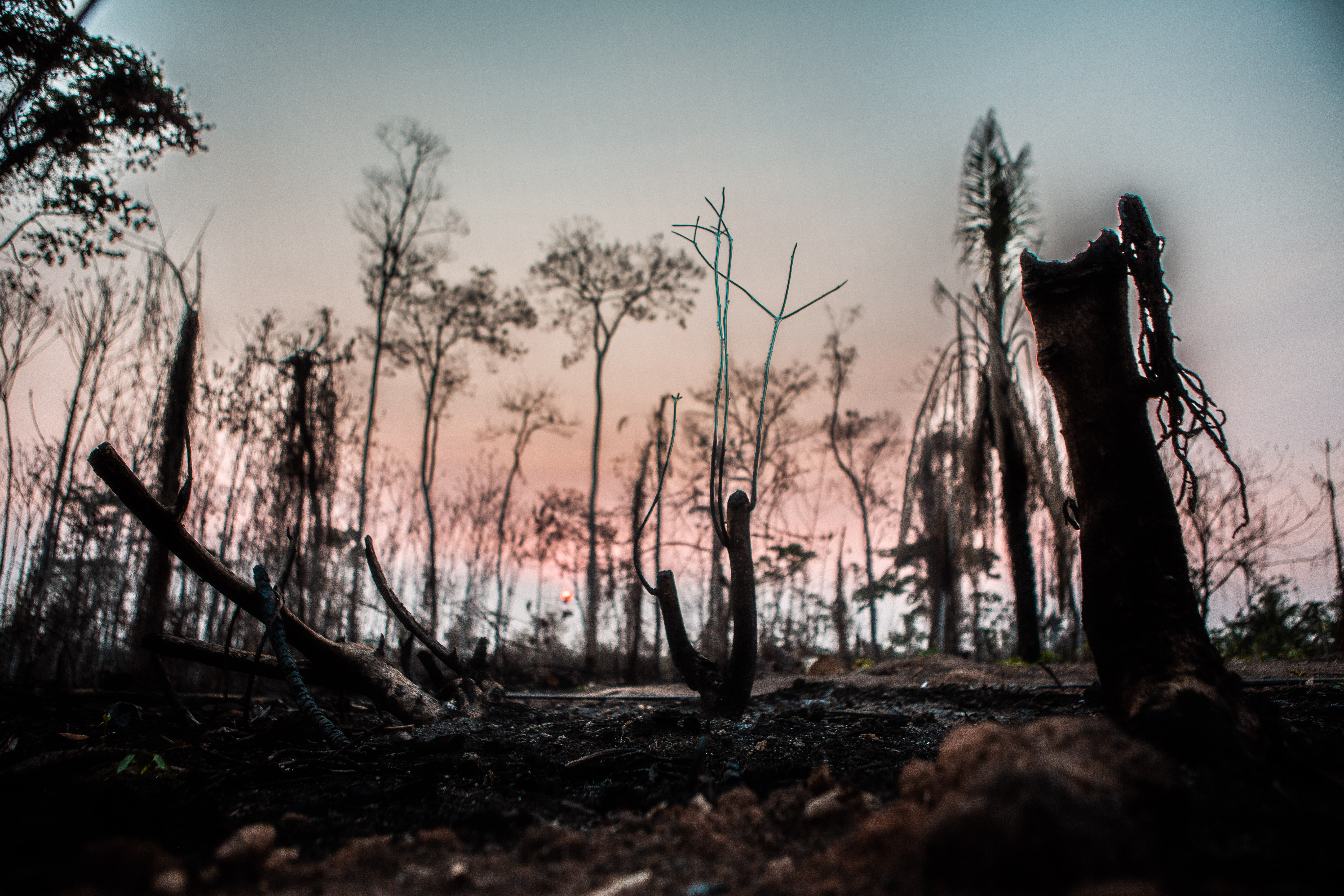 Выжигание лесов для сельскохозяйственого угодия в Африке
