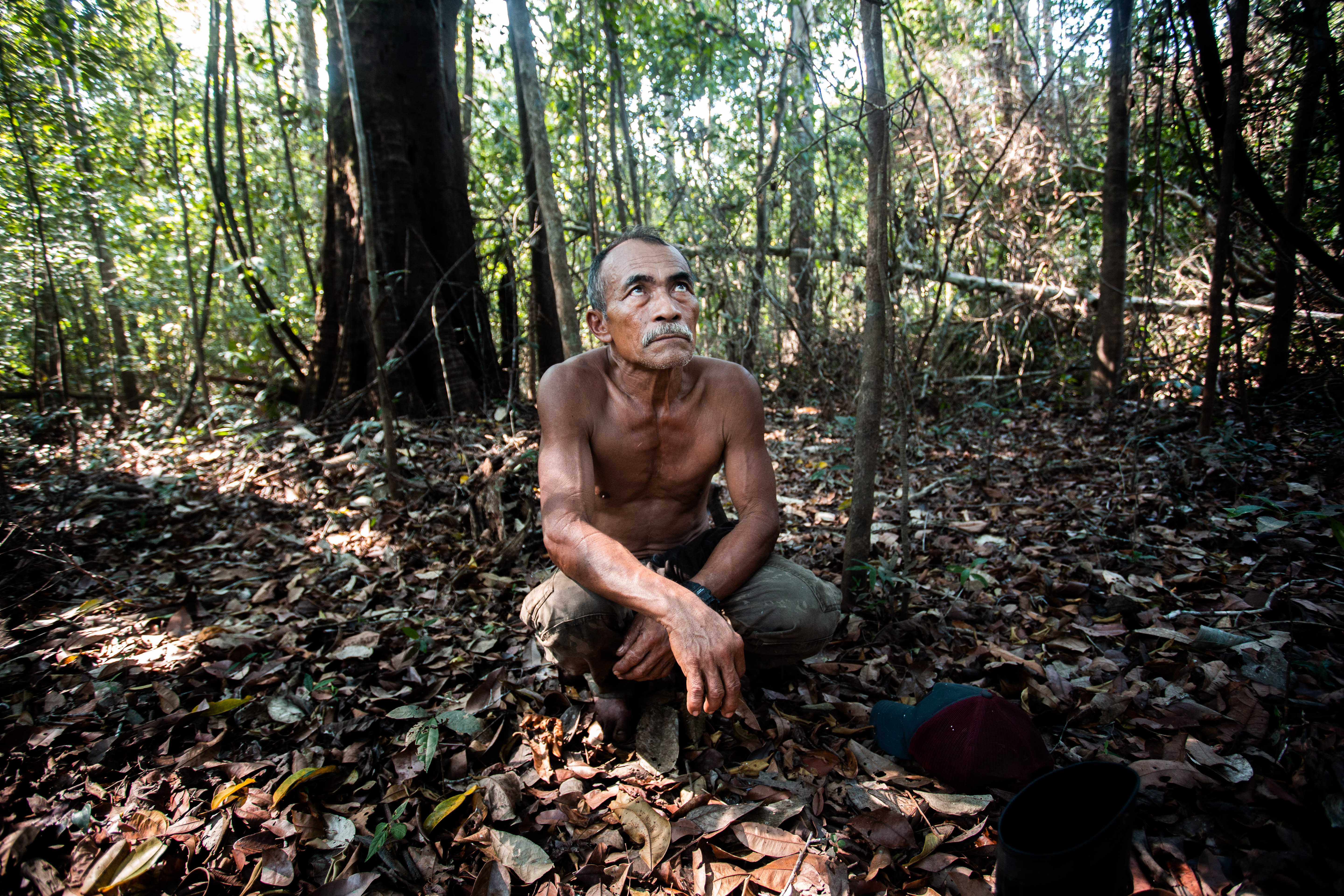 Indigenous man looking up at the forest