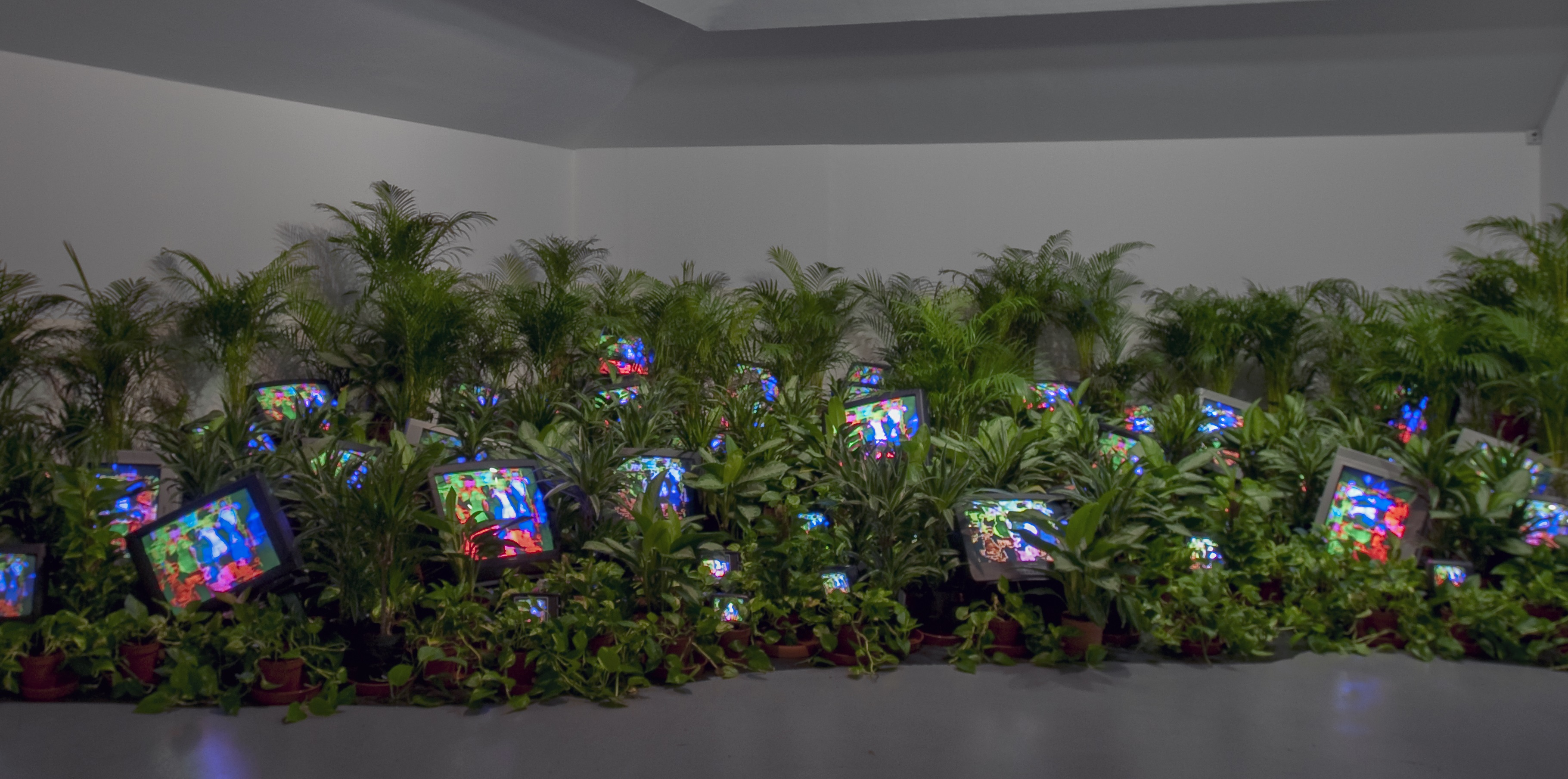1571366722217-TV-Garden-1974-1977_installation-view