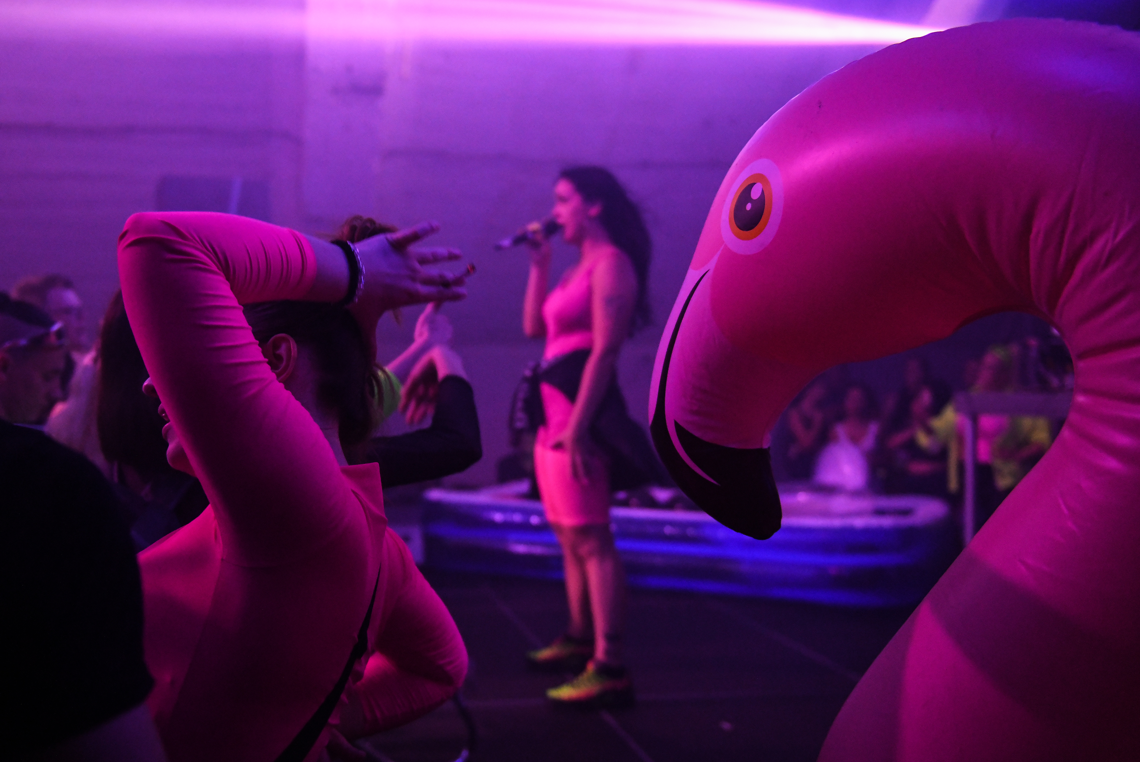 1571603488736-DSC_8736