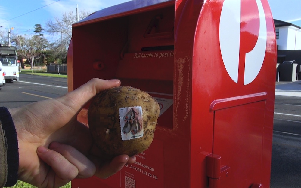 1571808273975-sending-potato