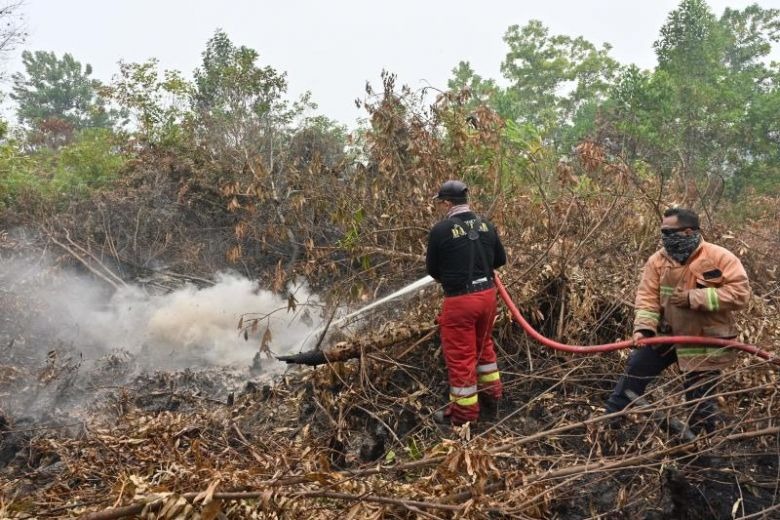 Meet the People Who Put Out Indonesia's Forest Fires