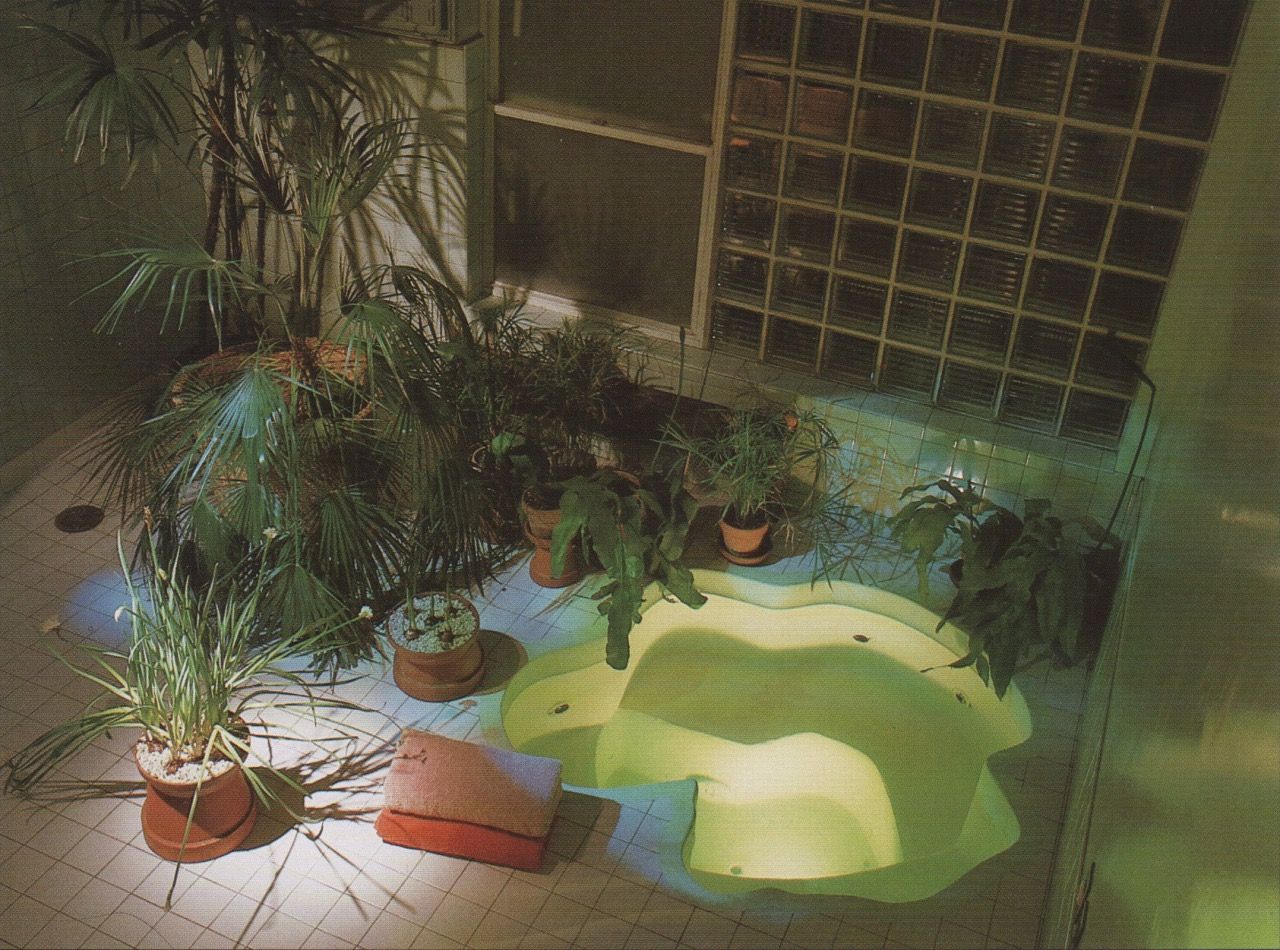 1572489617387-Interior-_-80s-_-Postmodern-_-Jacuzzi-_-Plants-_-Brick-Glass-source-Pinterest