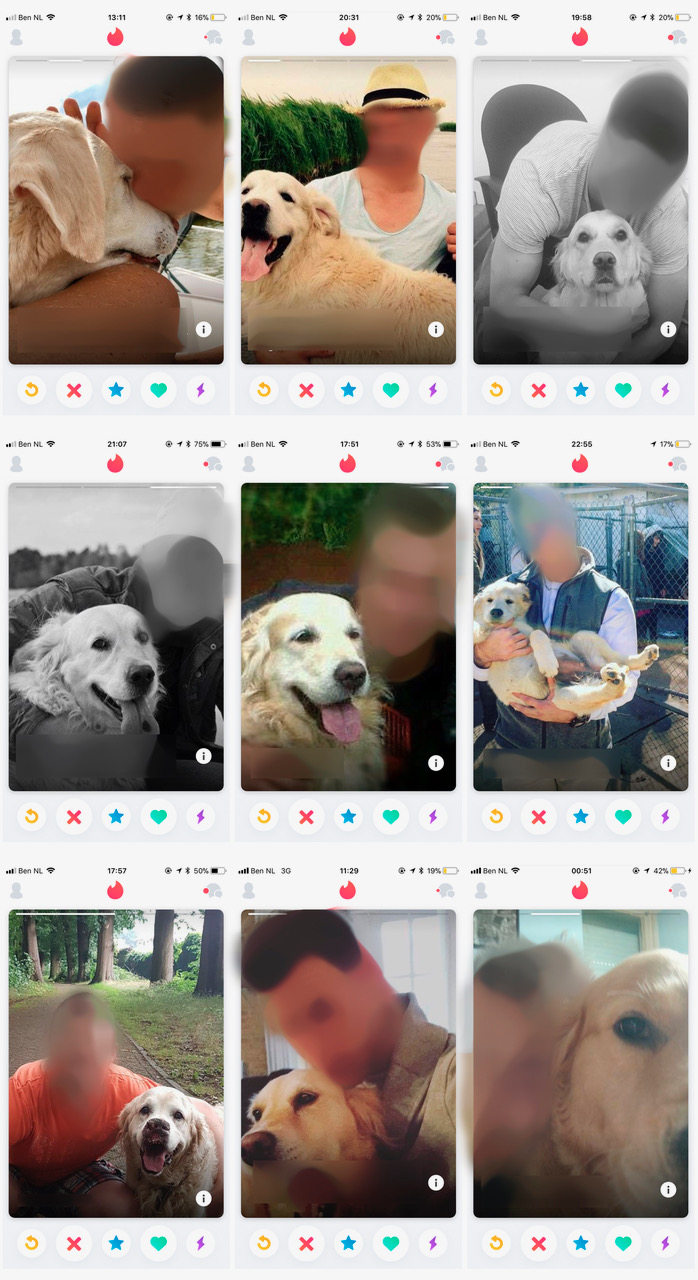 1572535884744-goldenretrieverboysnogietsmeeronherkenbaar