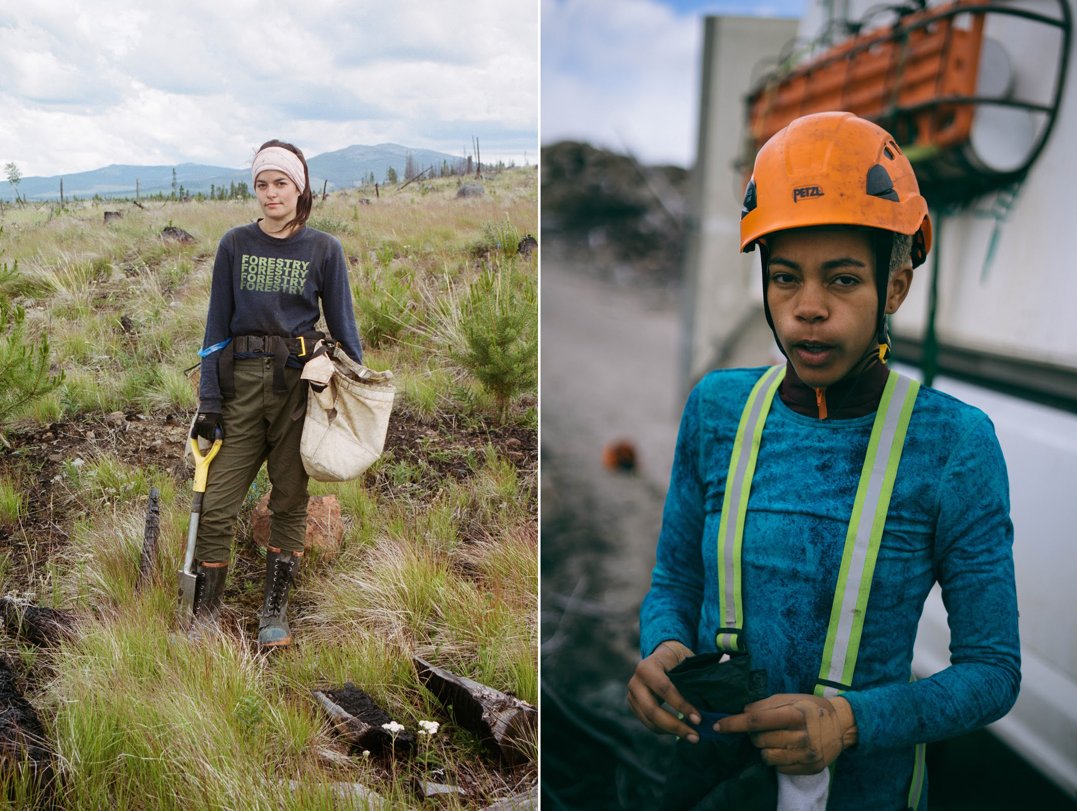 treeplanters