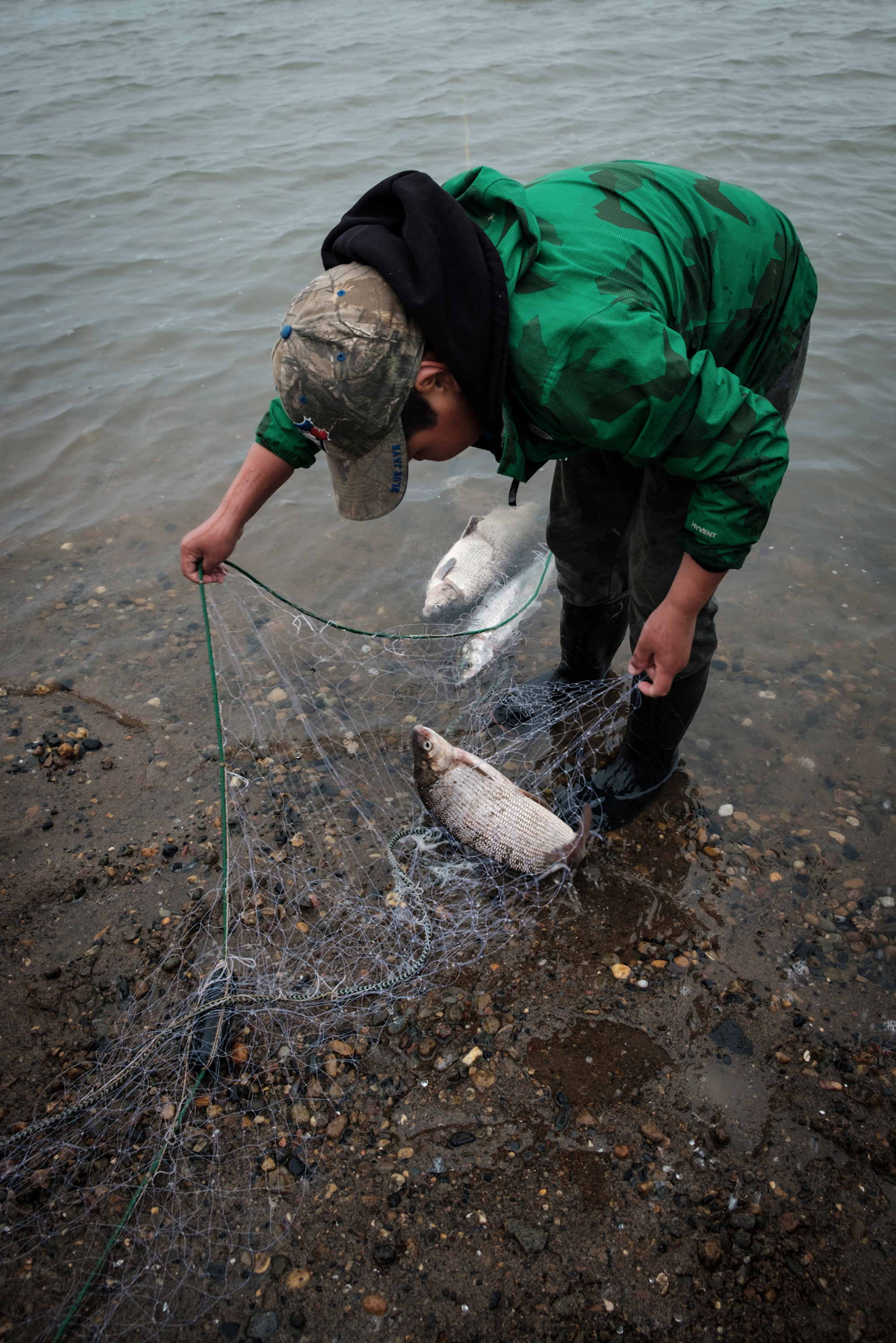 A boy pulls a fishing net in Tuktoyaktuk’s inner harbour.