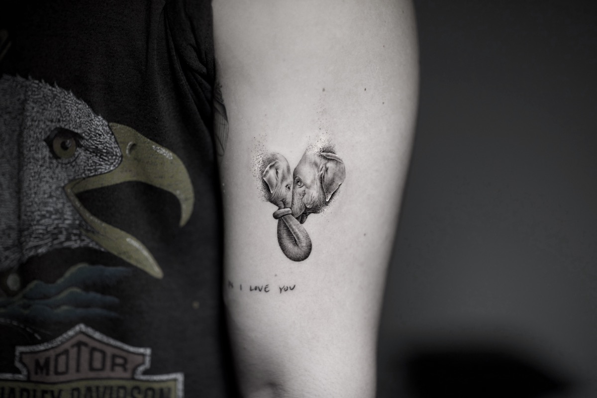 1573488927635-elephans-cutie