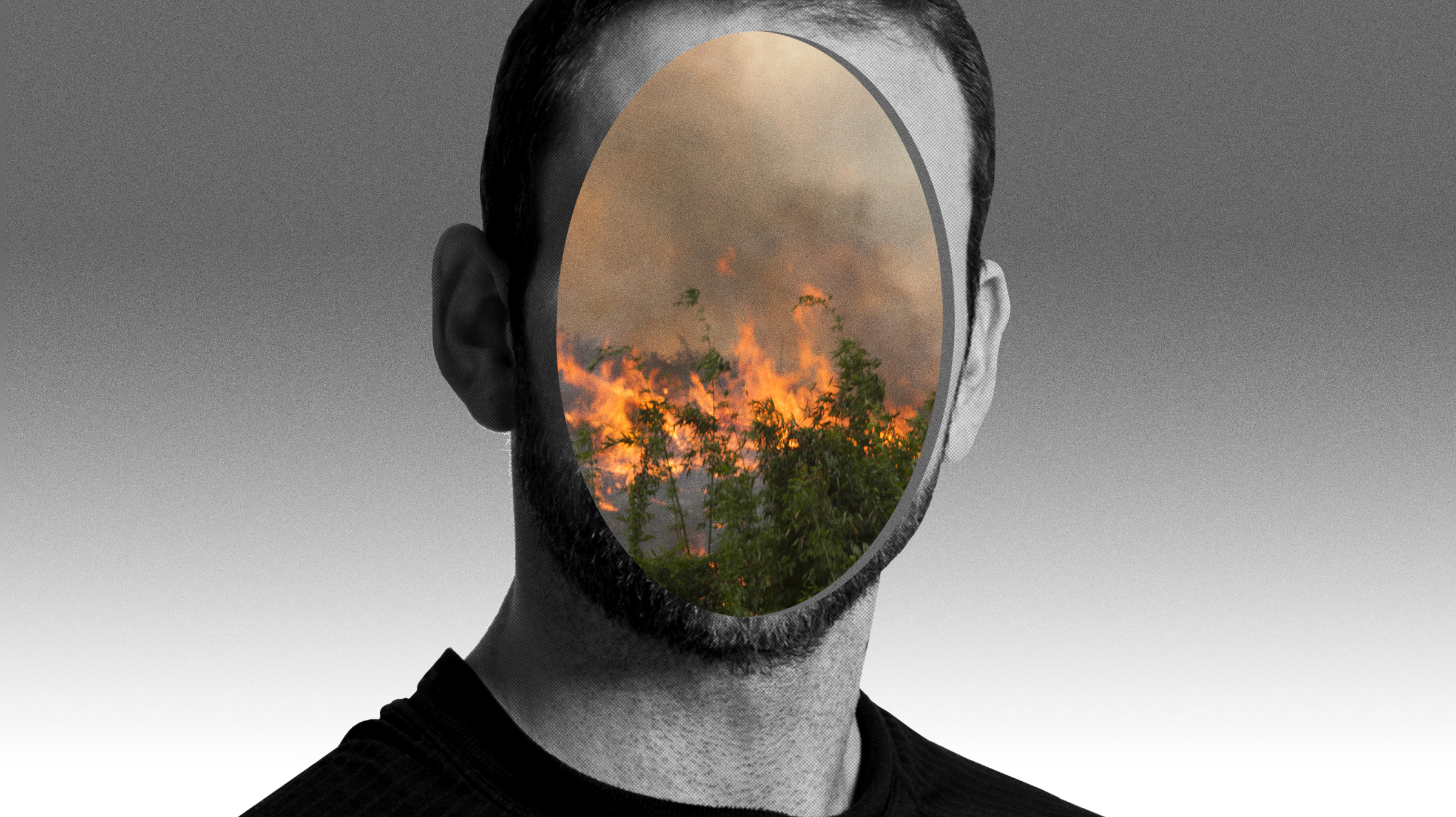 A collage where a man's face is replaced with a forest fire.