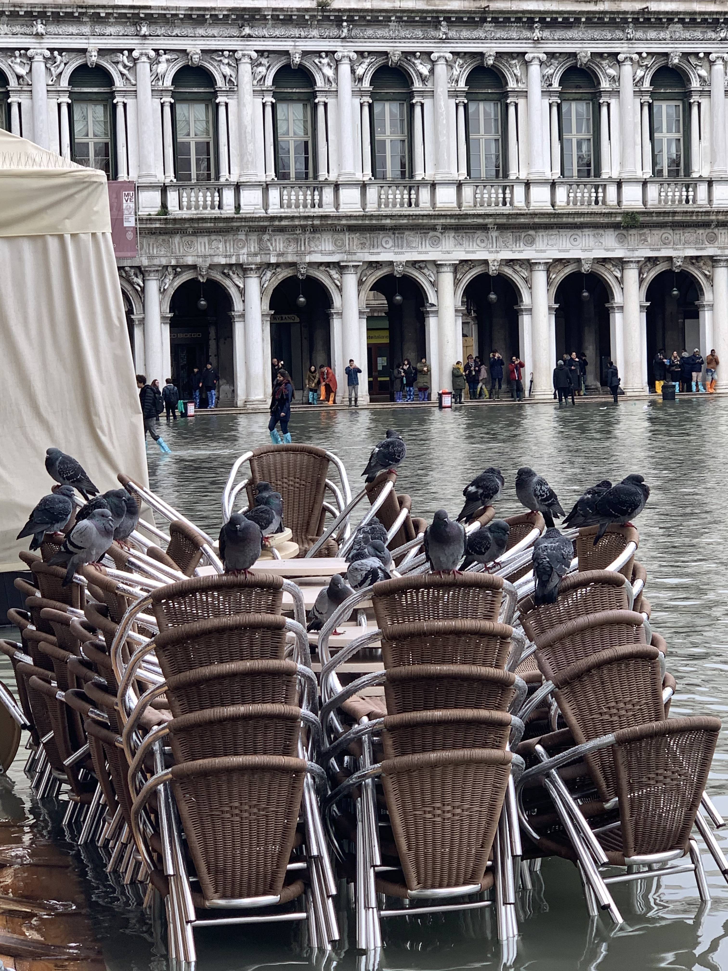 1573720287147-IMG_6130