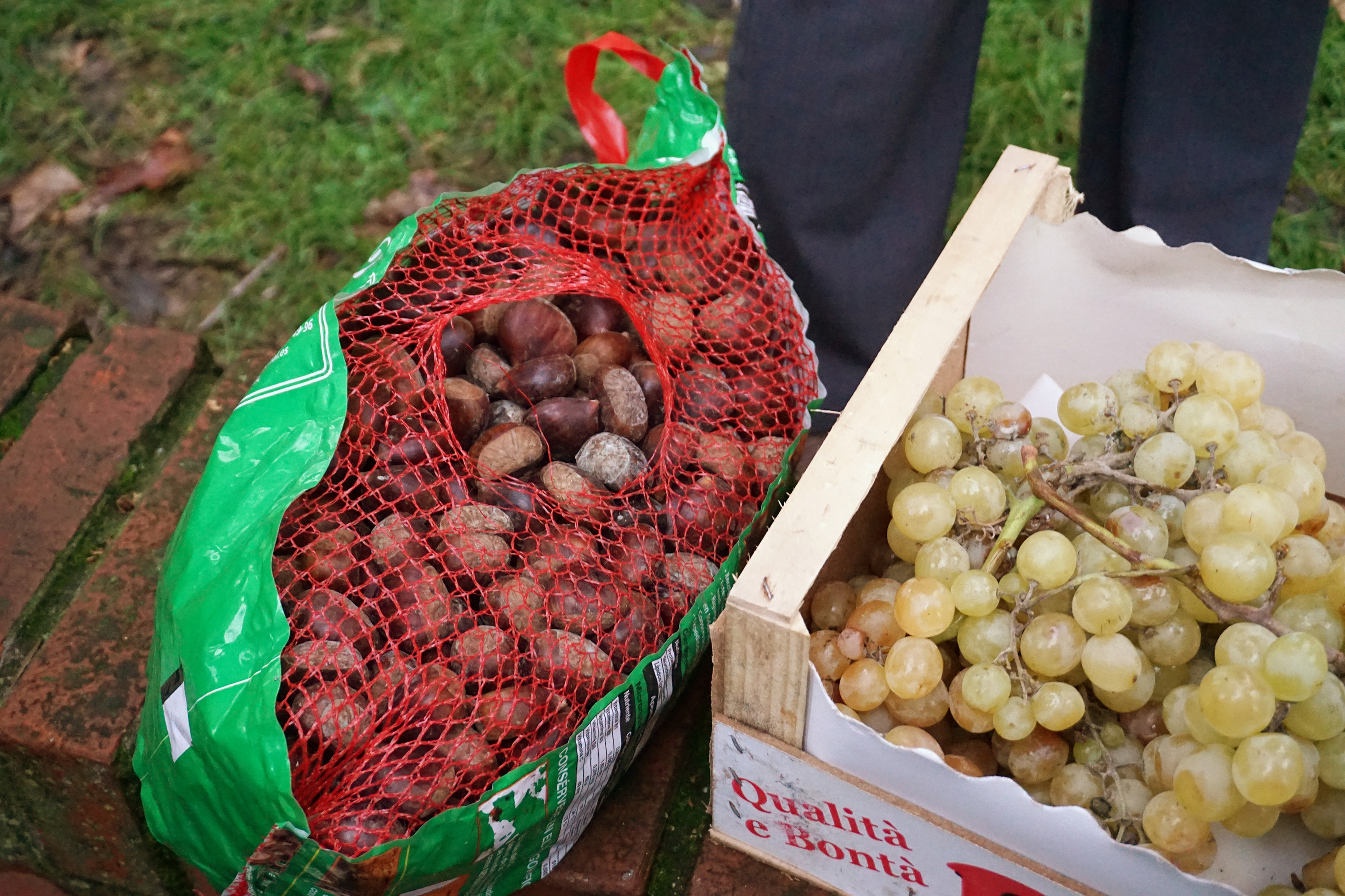 castagne-recuperate
