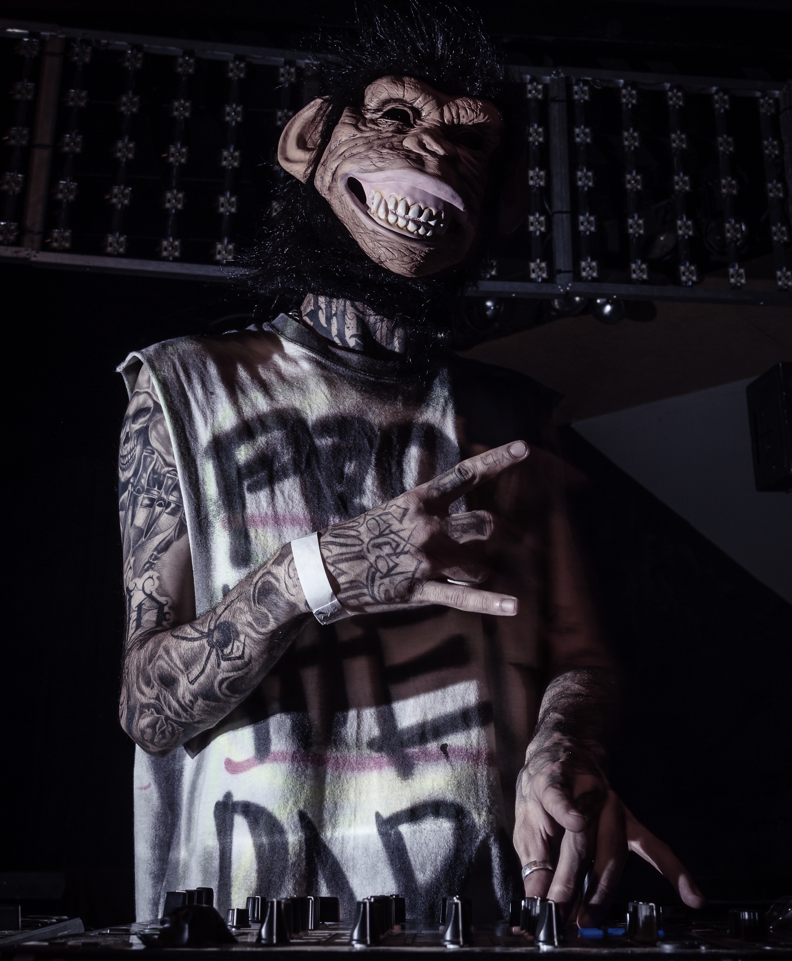 1574265462015-matt-muscarella-Monkey-Business