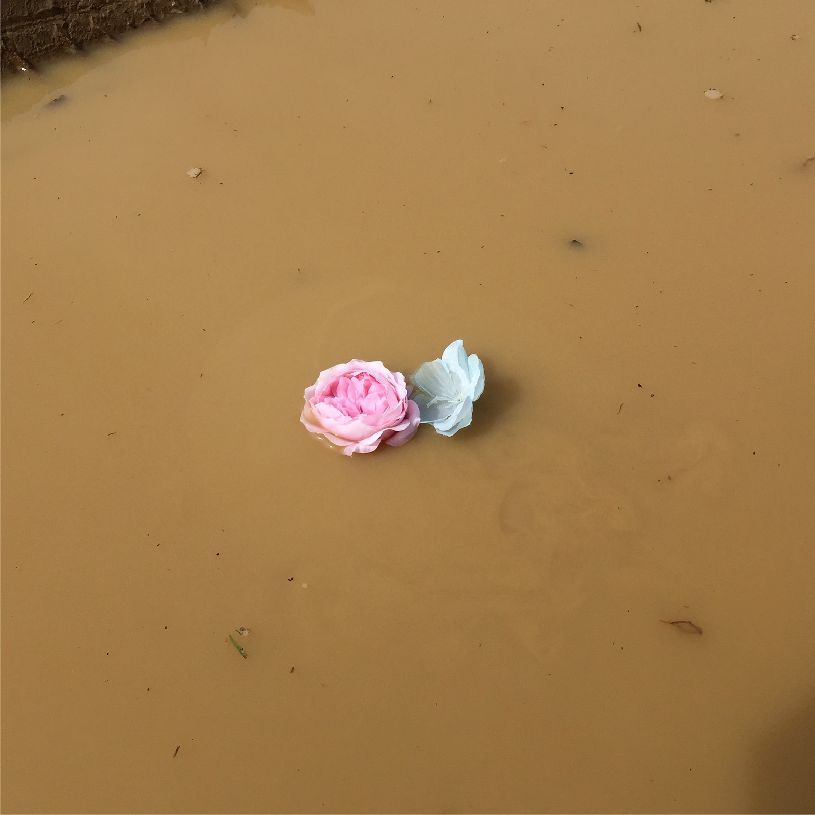 1574851639491-Flowers-Mud