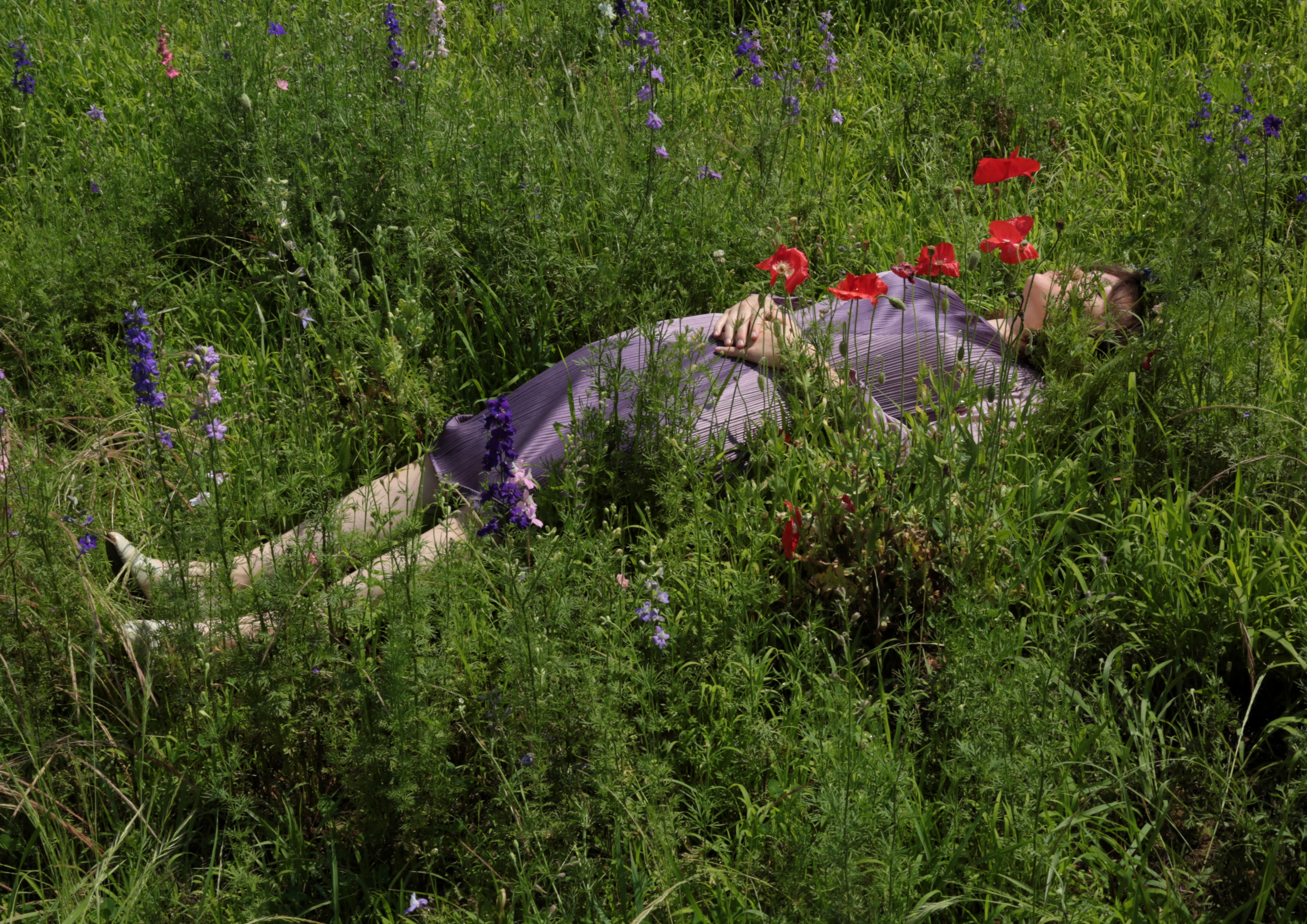 1574851687348-Grass