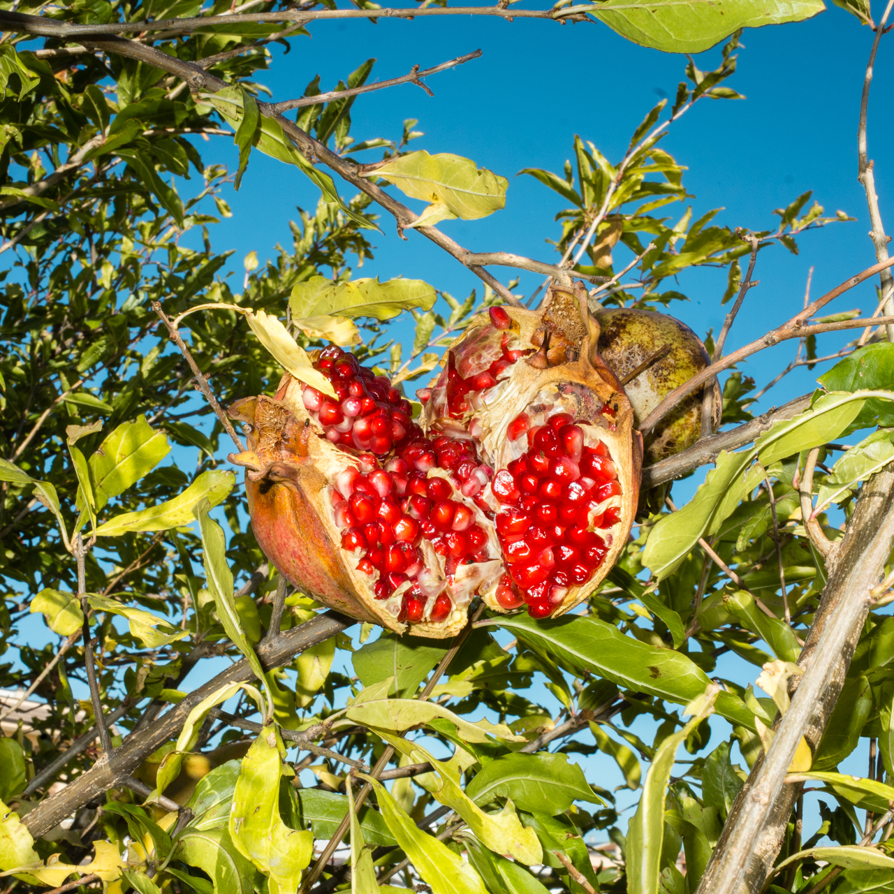 1575295407868-NOVEMBRE_Nature-Change