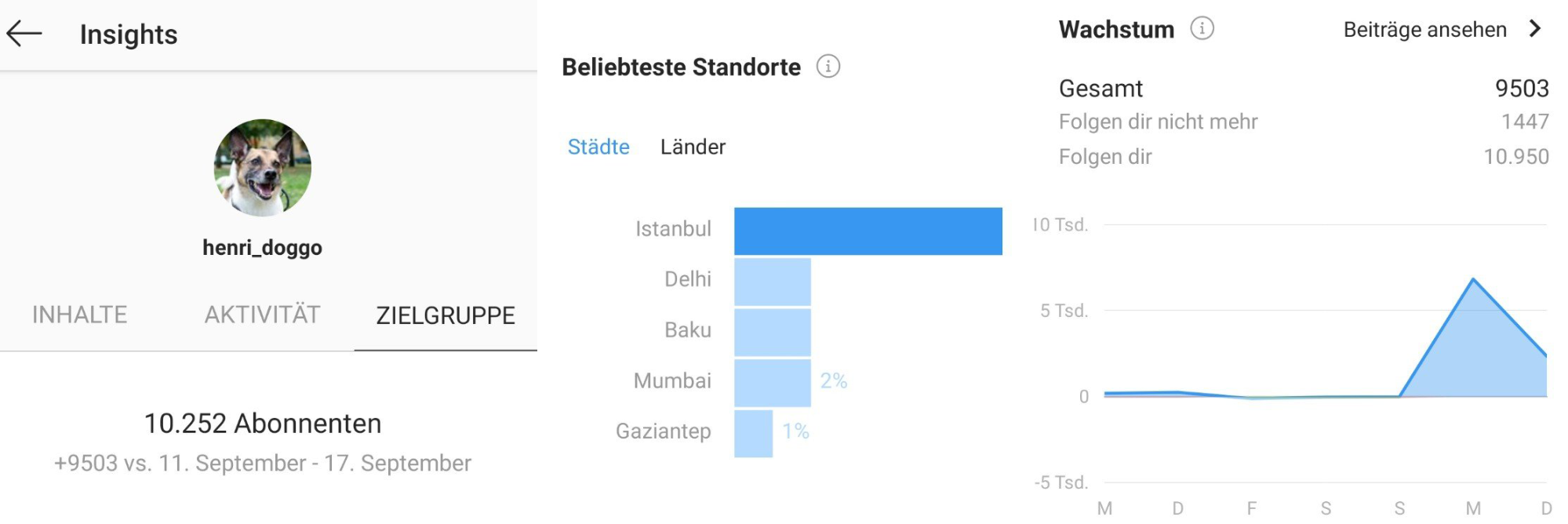 Screenshots aus Henris Analytics
