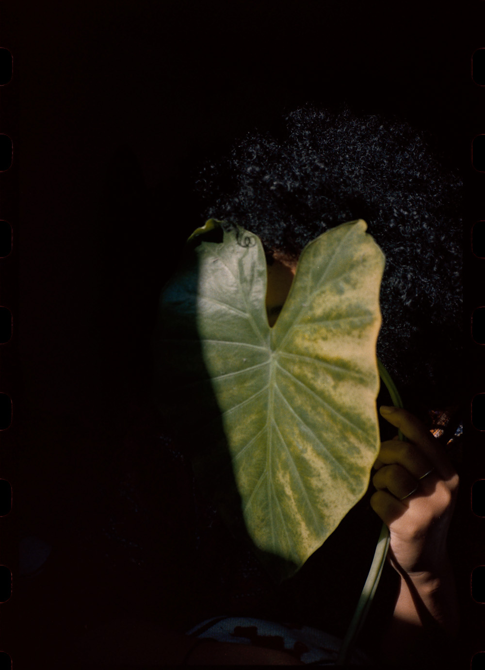 2019 Mariaclara Macrì fotografia