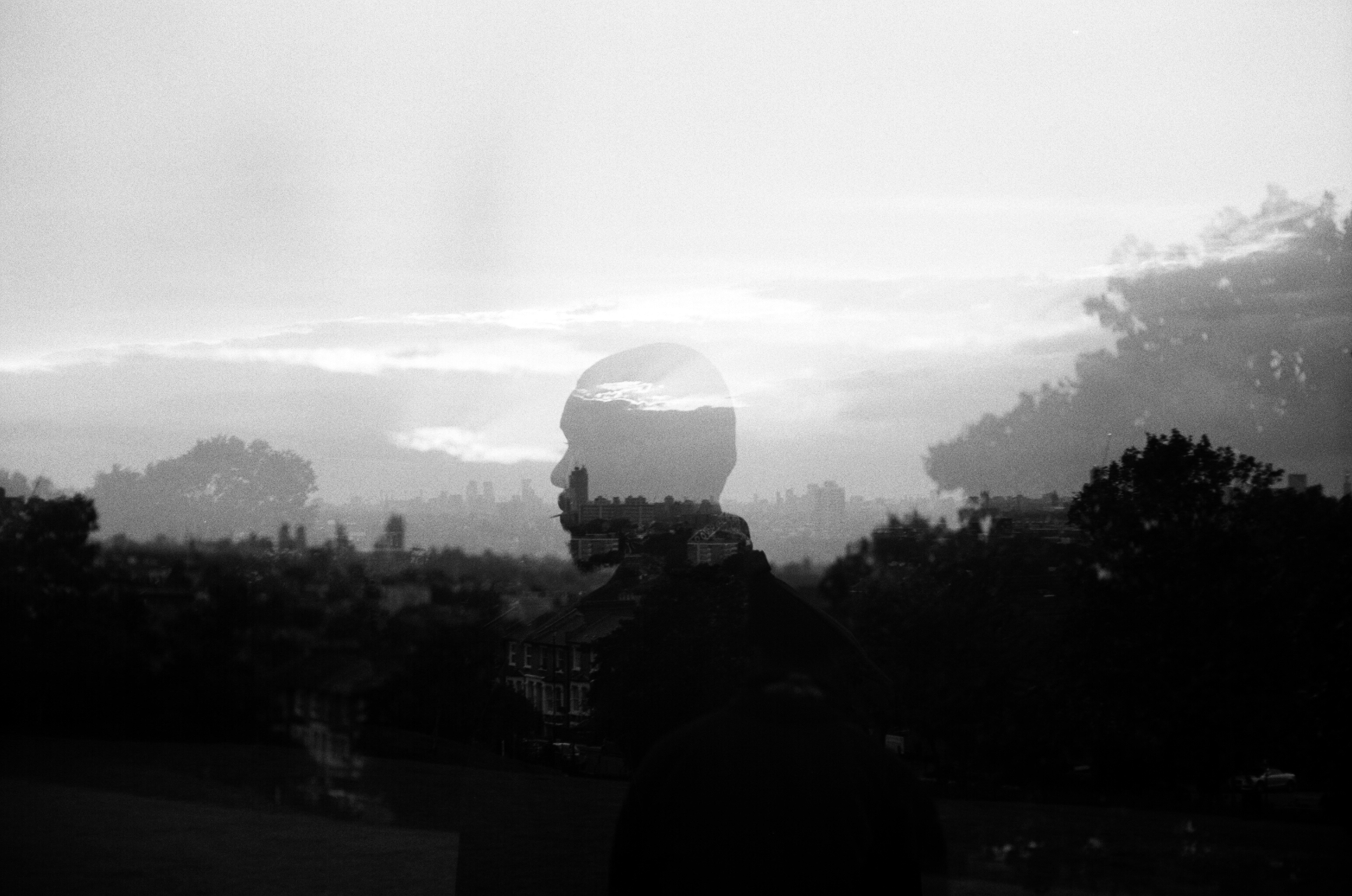 Fenn O’Meally photography